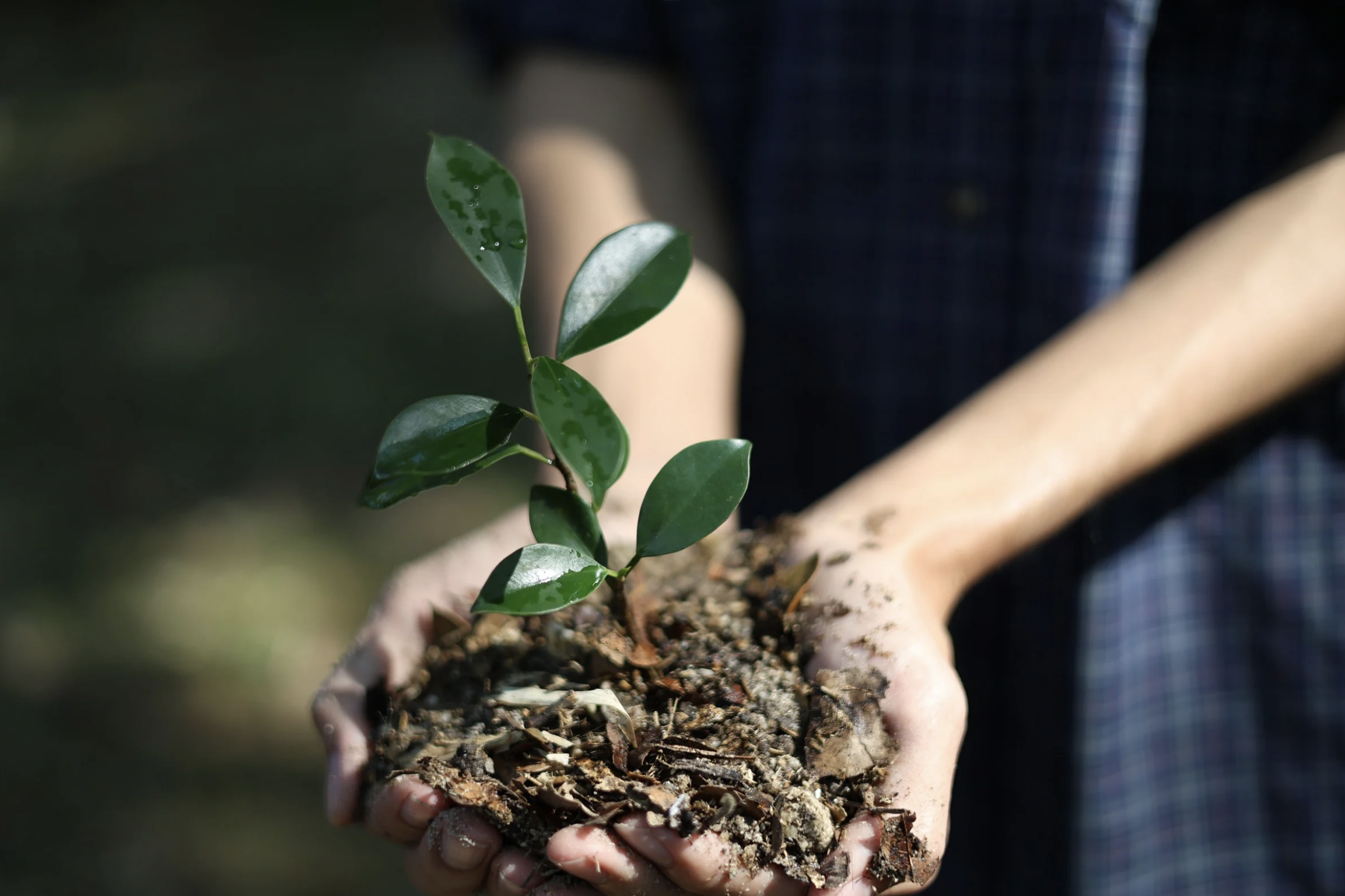 Hands-on environmental learning