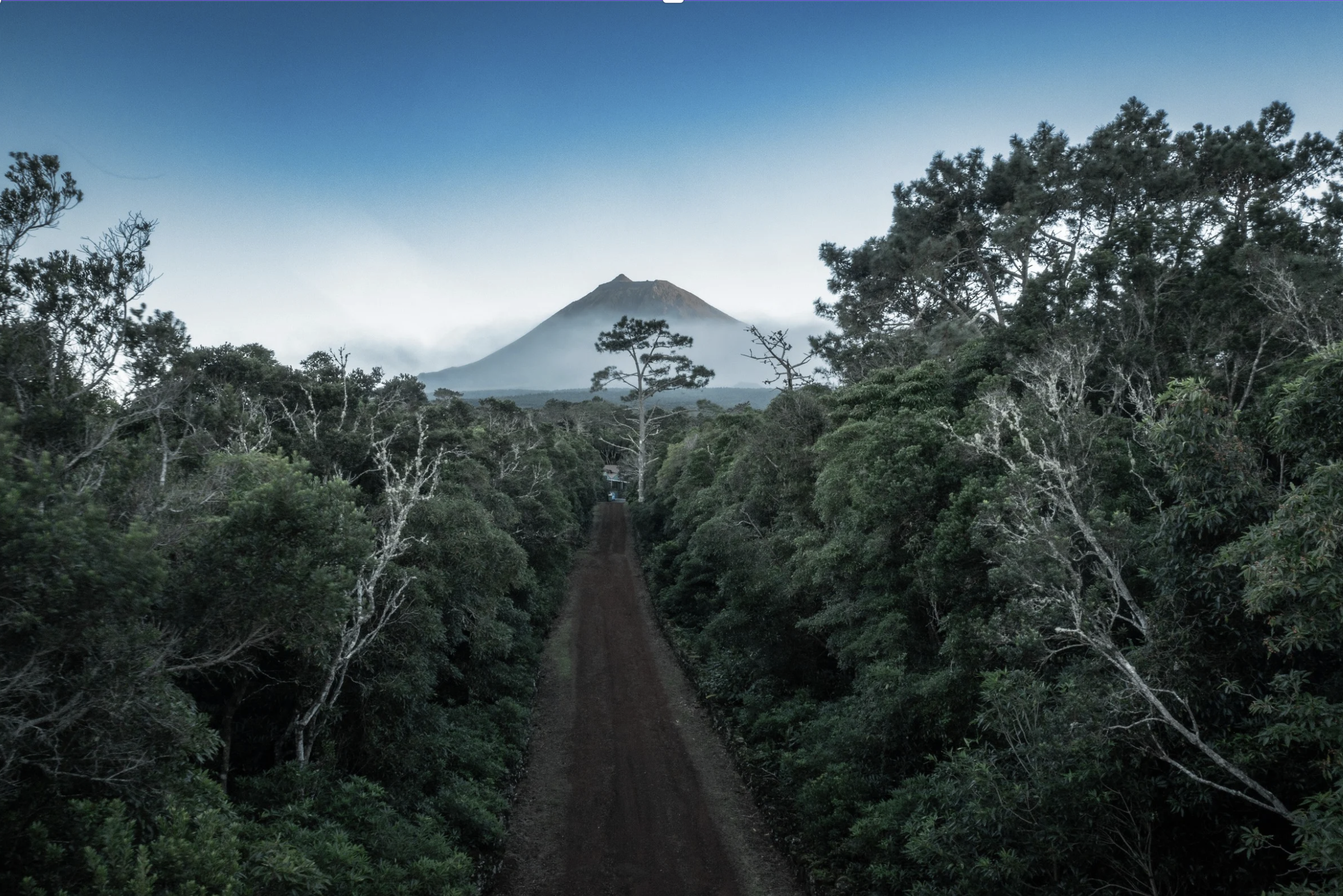 Azores volcanic landscape