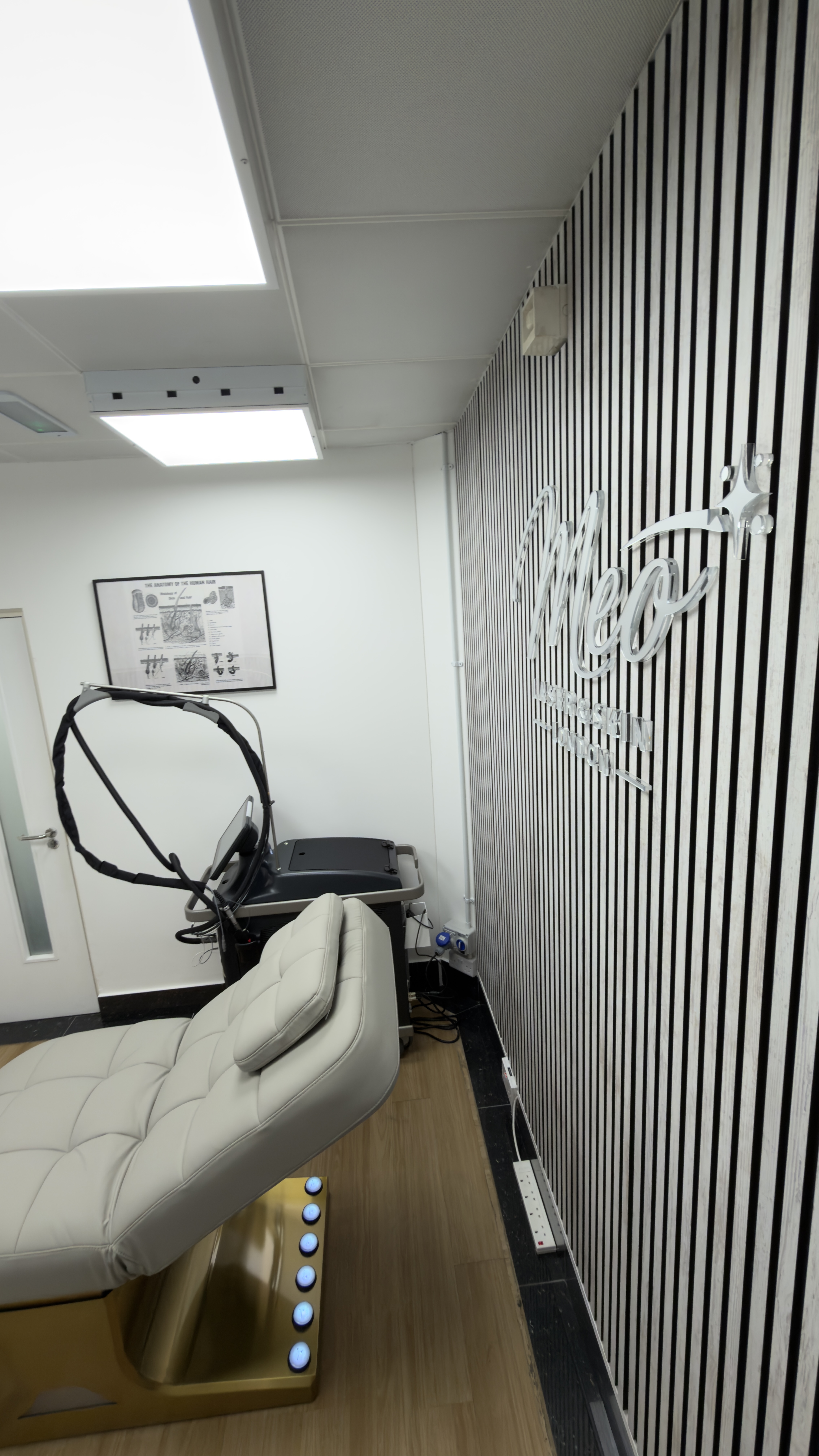 Treatment area