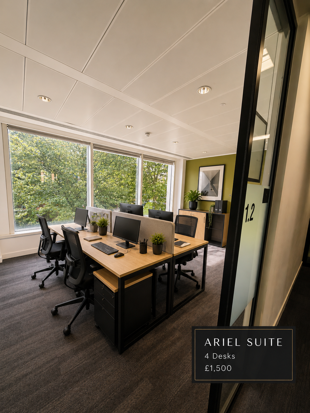 Ariel suite – 4 desks