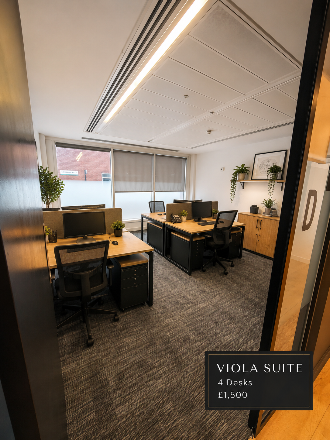 Viola · 4 desks