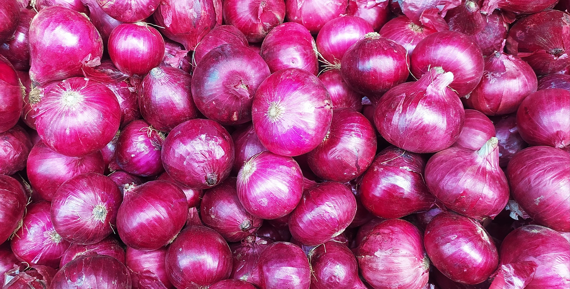Fresh Red Onion