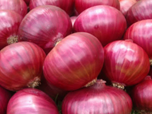 Freshly harvested Nashik red onions