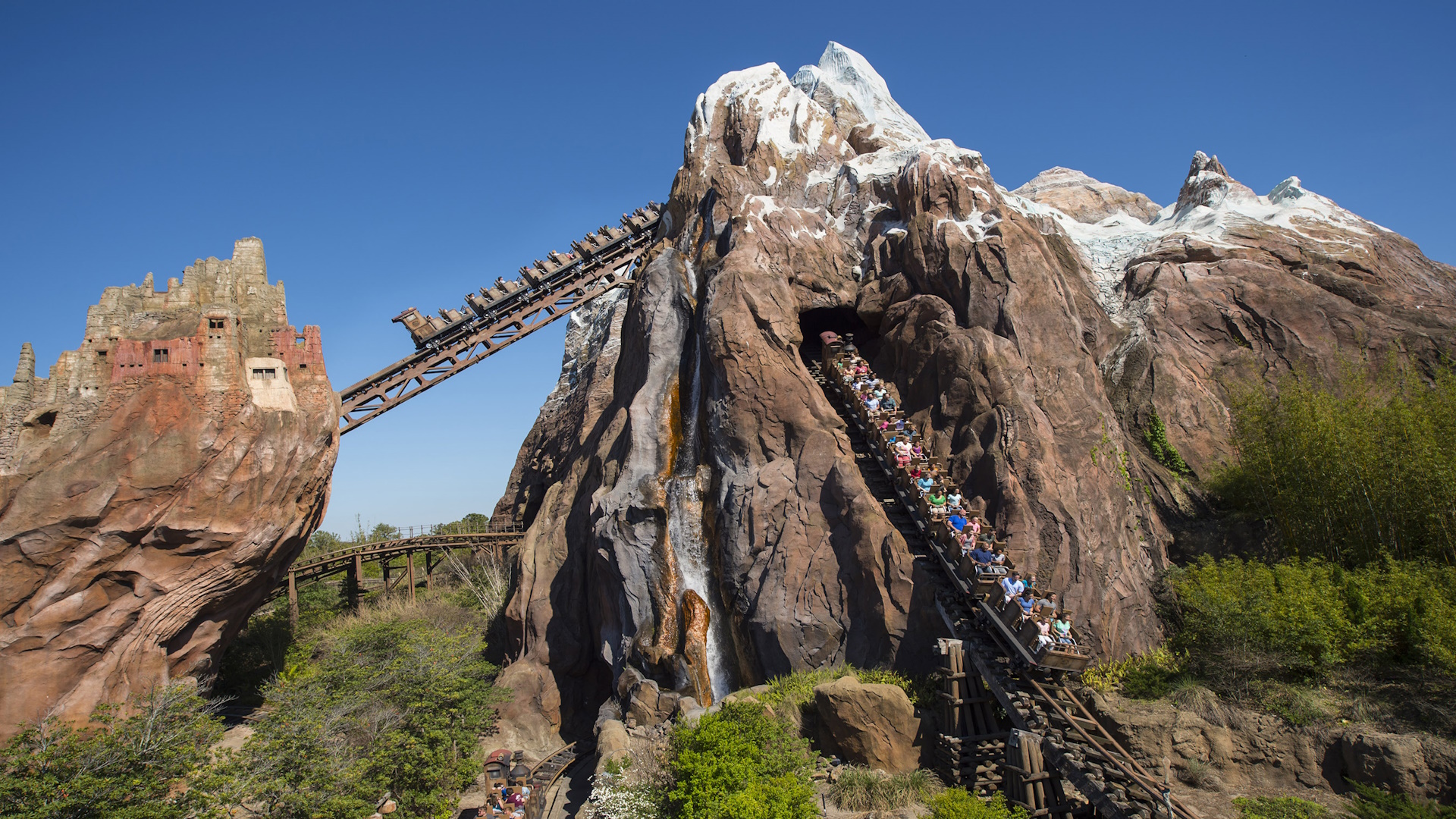Animal Kingdom
