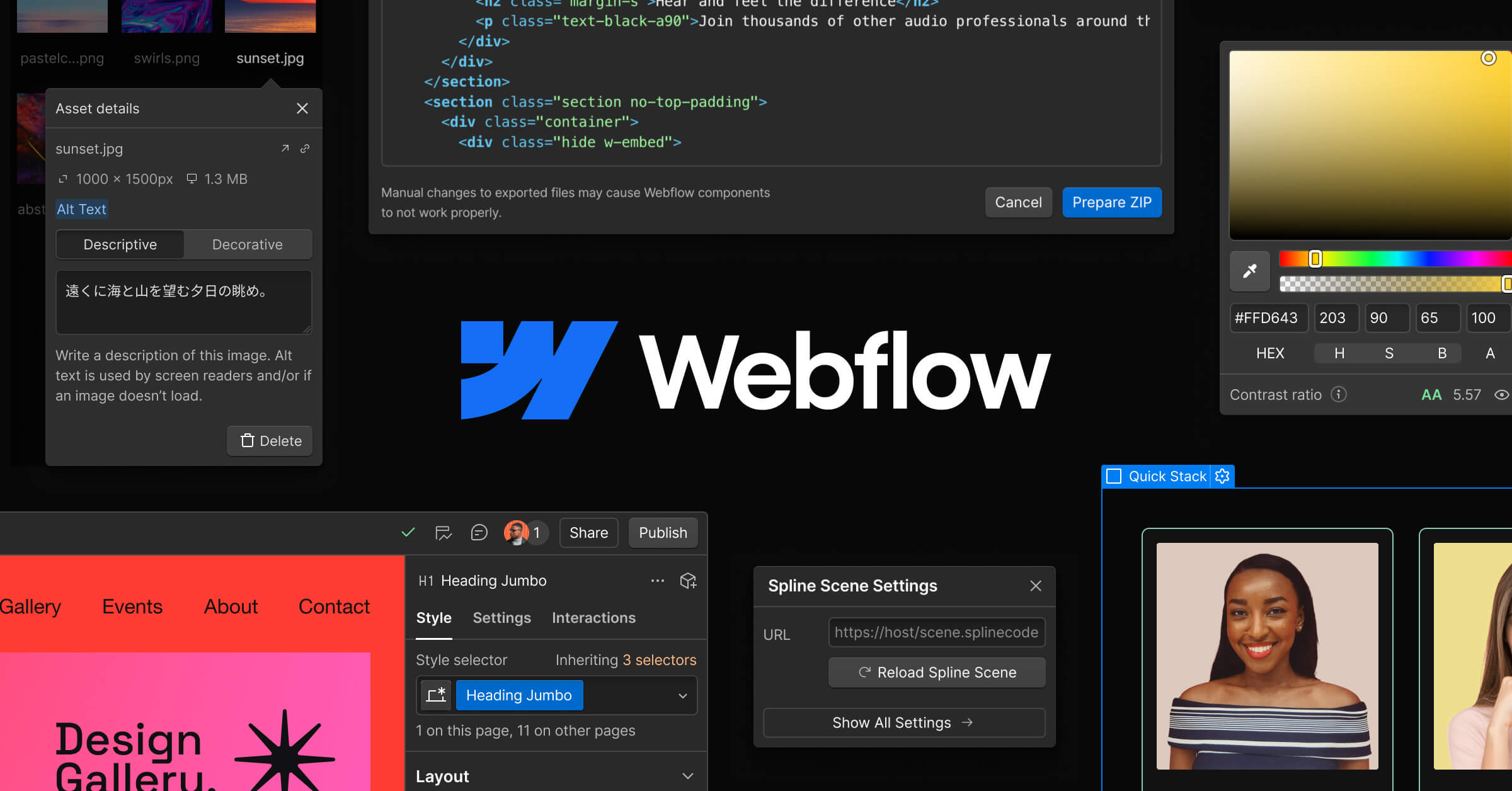 Webflow Premium