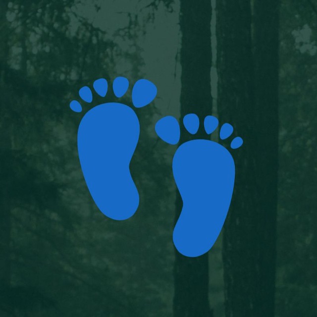 Big Foot Logo