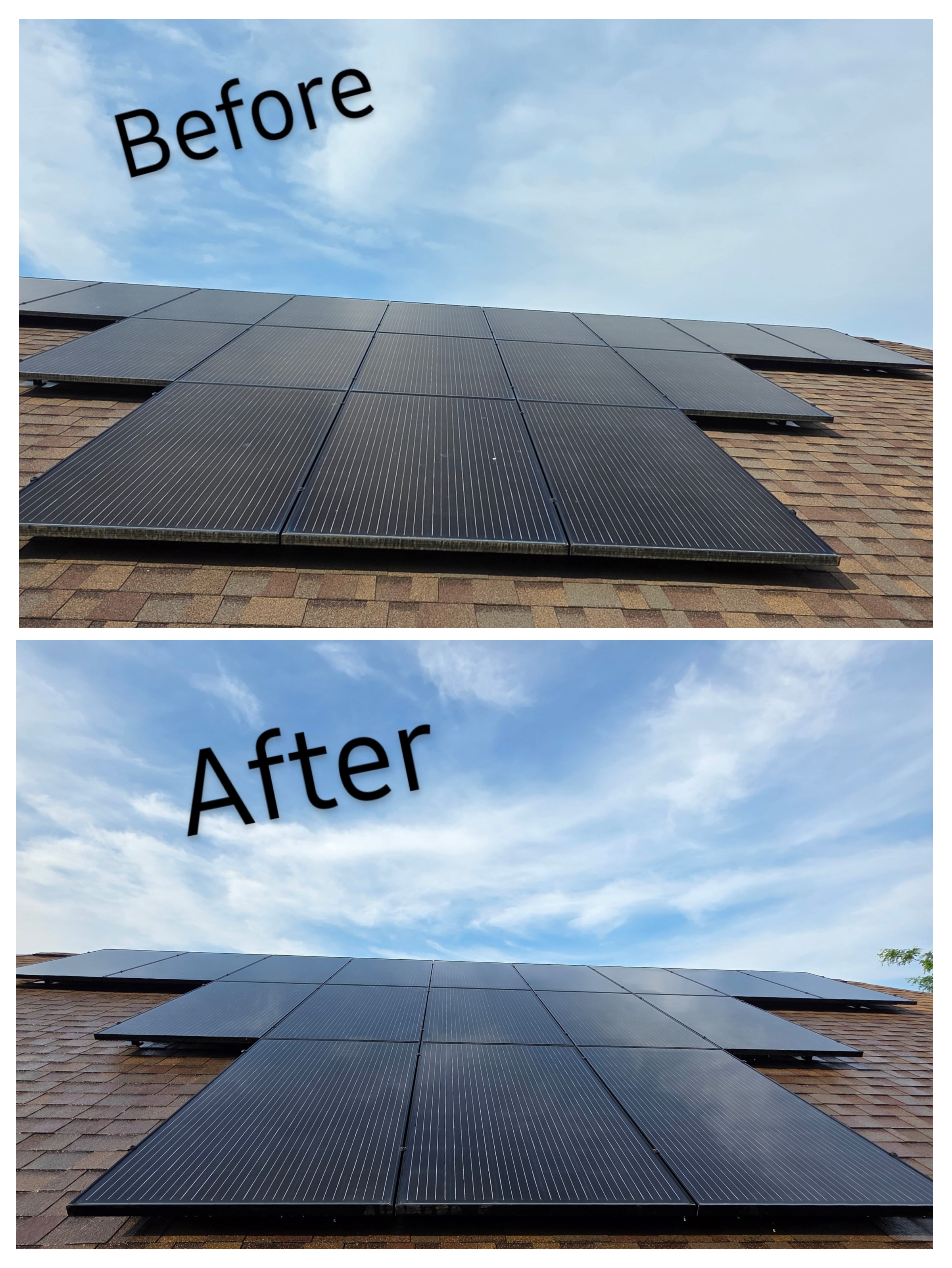 Professional solar panel cleaning service Dane County WI