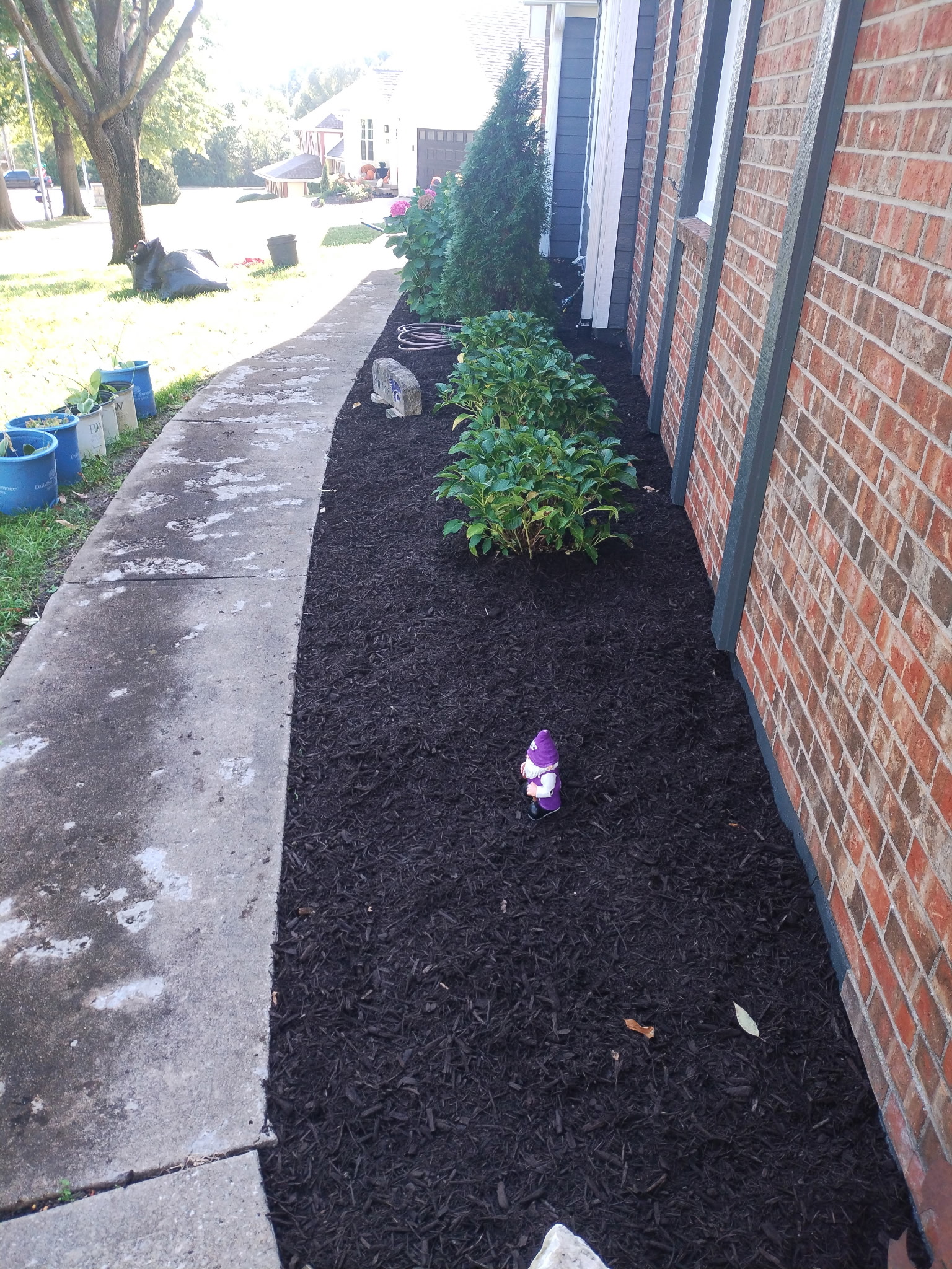 Professional landscaping Kansas City - mulch bed and plant installation