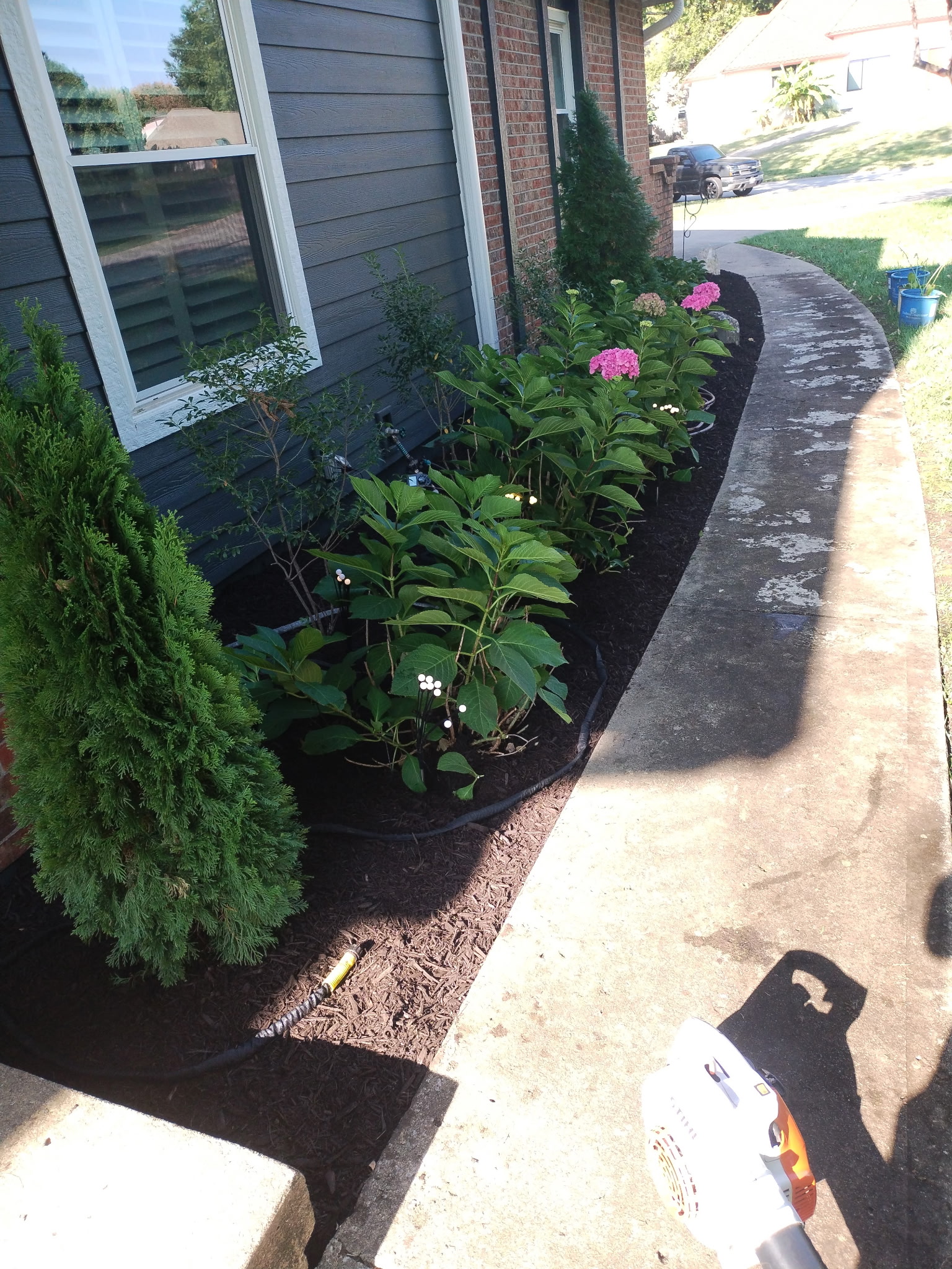 Flower bed and shrub landscaping design Lenexa KS