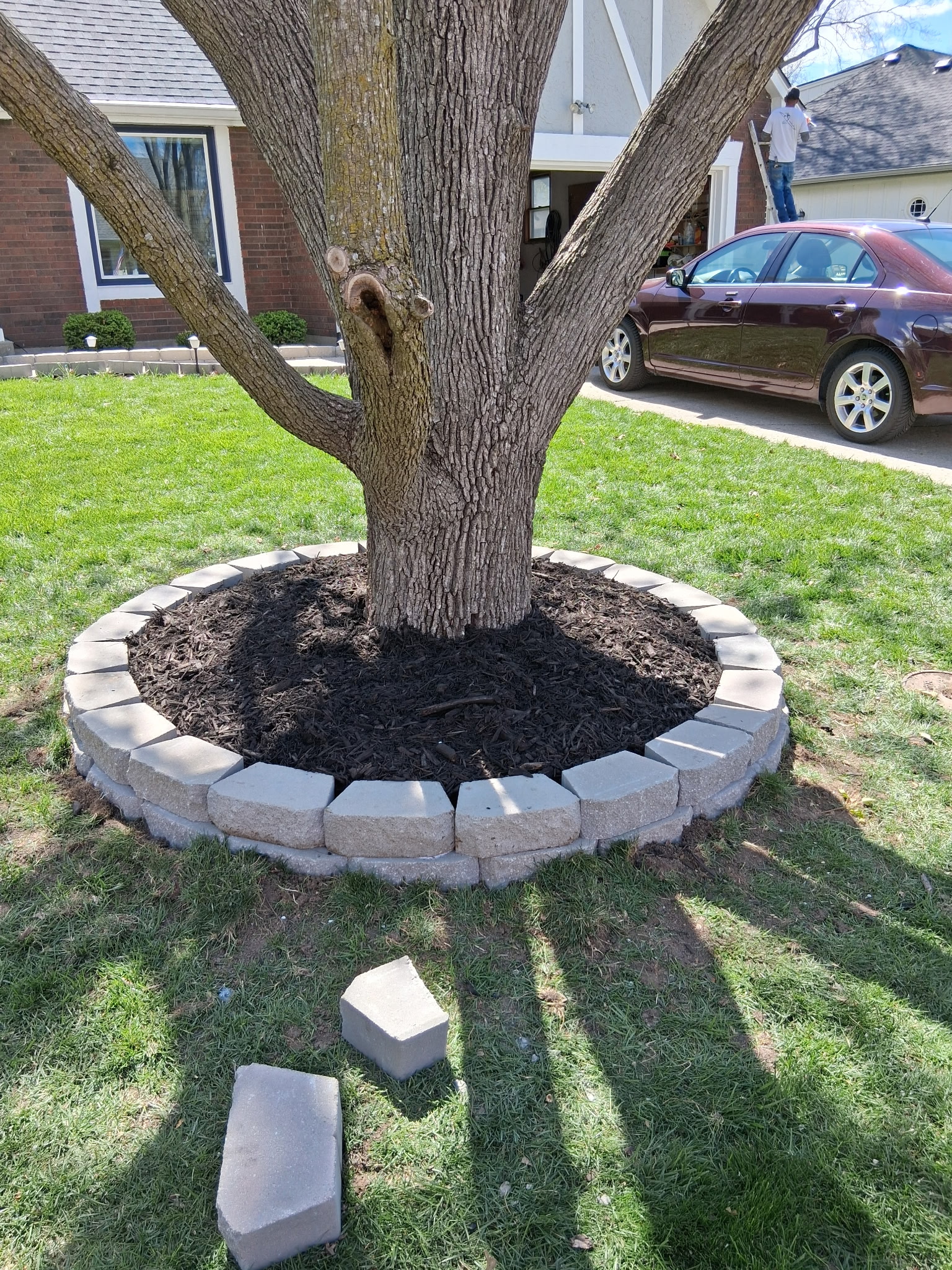 Quality landscaping project by German Sorto Tree Service in Kansas City