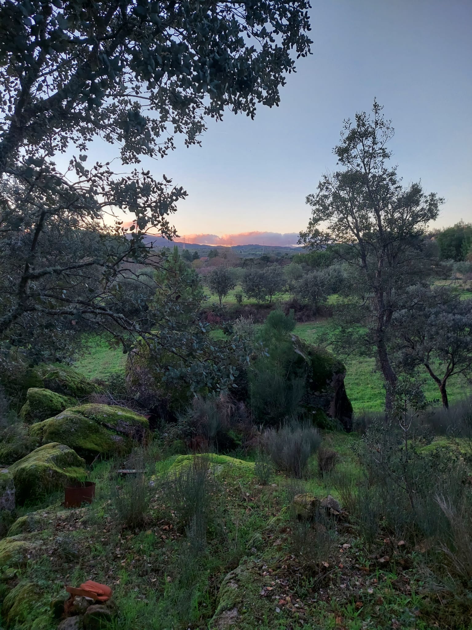 A view over the central Portugal landscape near Limiar