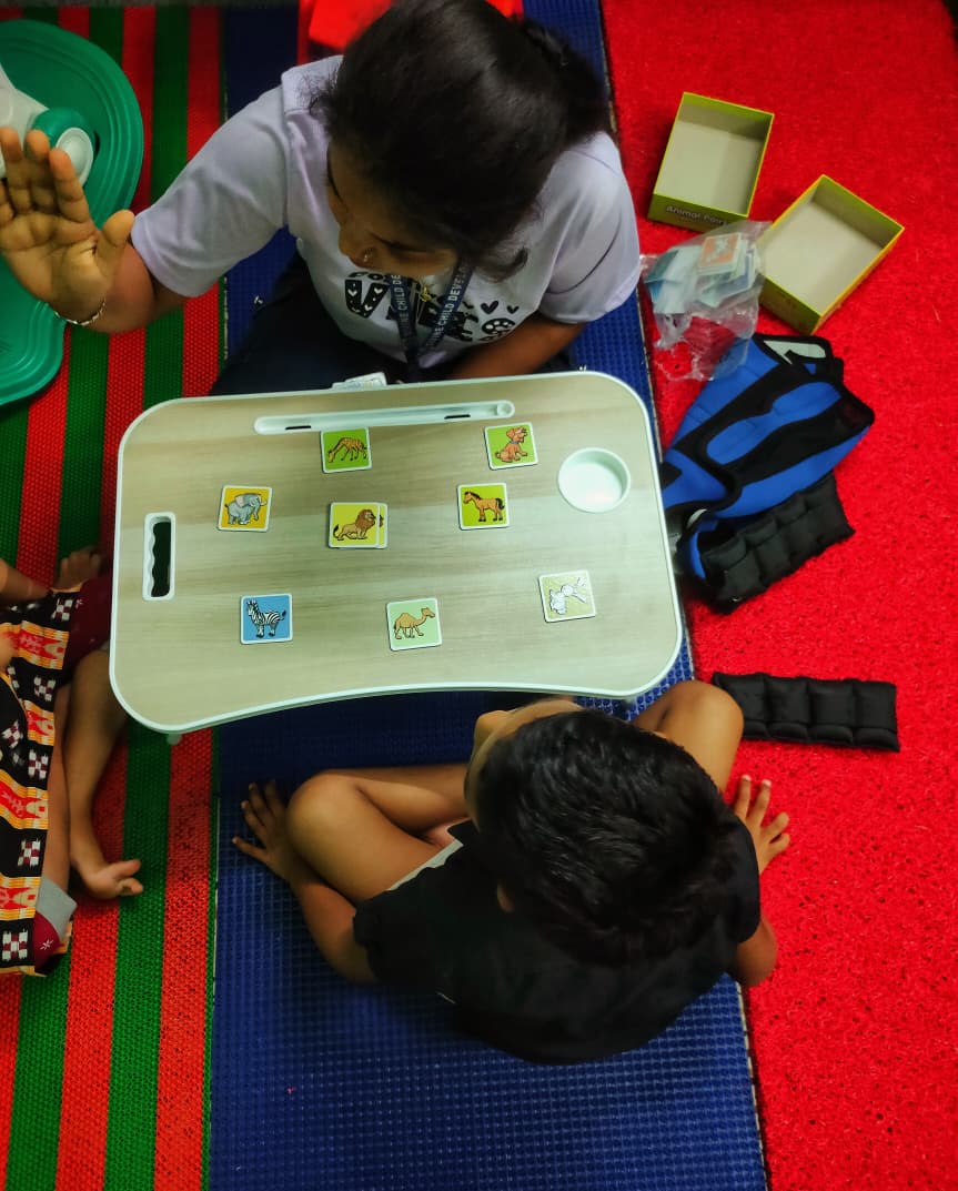 Therapist conducting a learning session with child