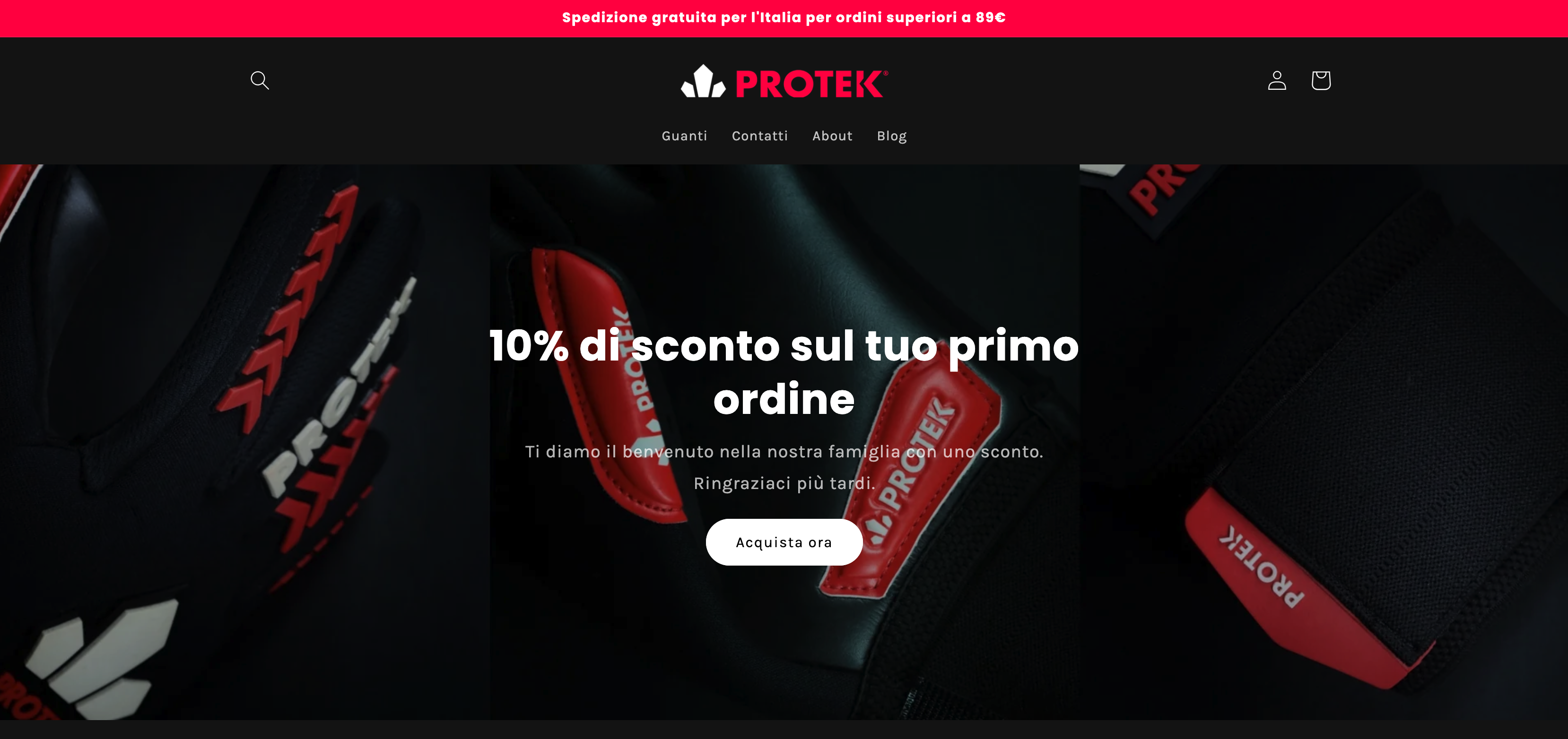 E-commerce Protek — screenshot della homepage