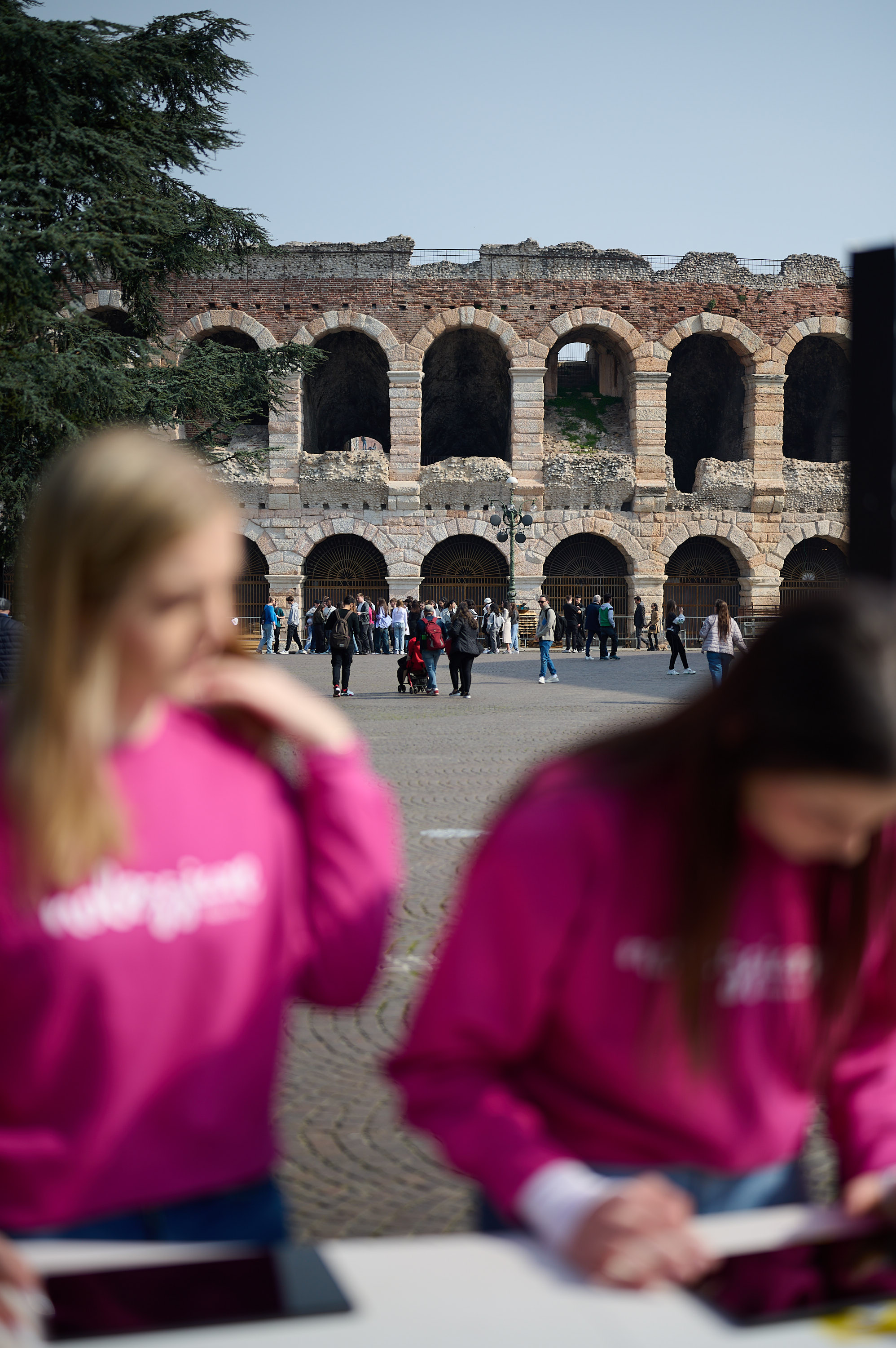 Noleggiare × Hellas Verona — The Dugout — Scatto 04 di 4