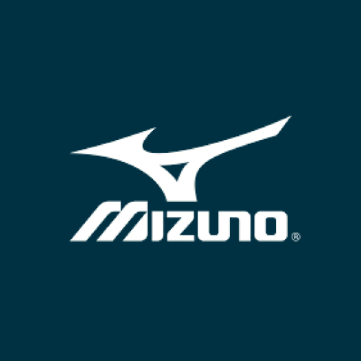 Mizuno