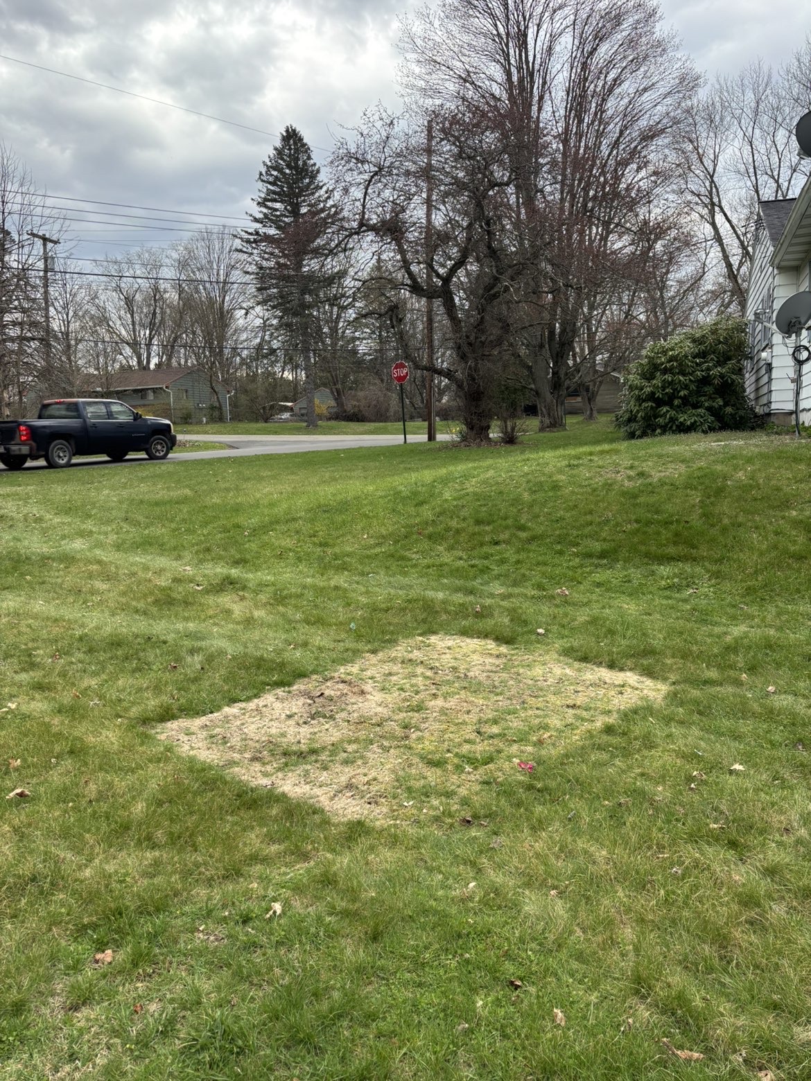 After — Old swing set removal