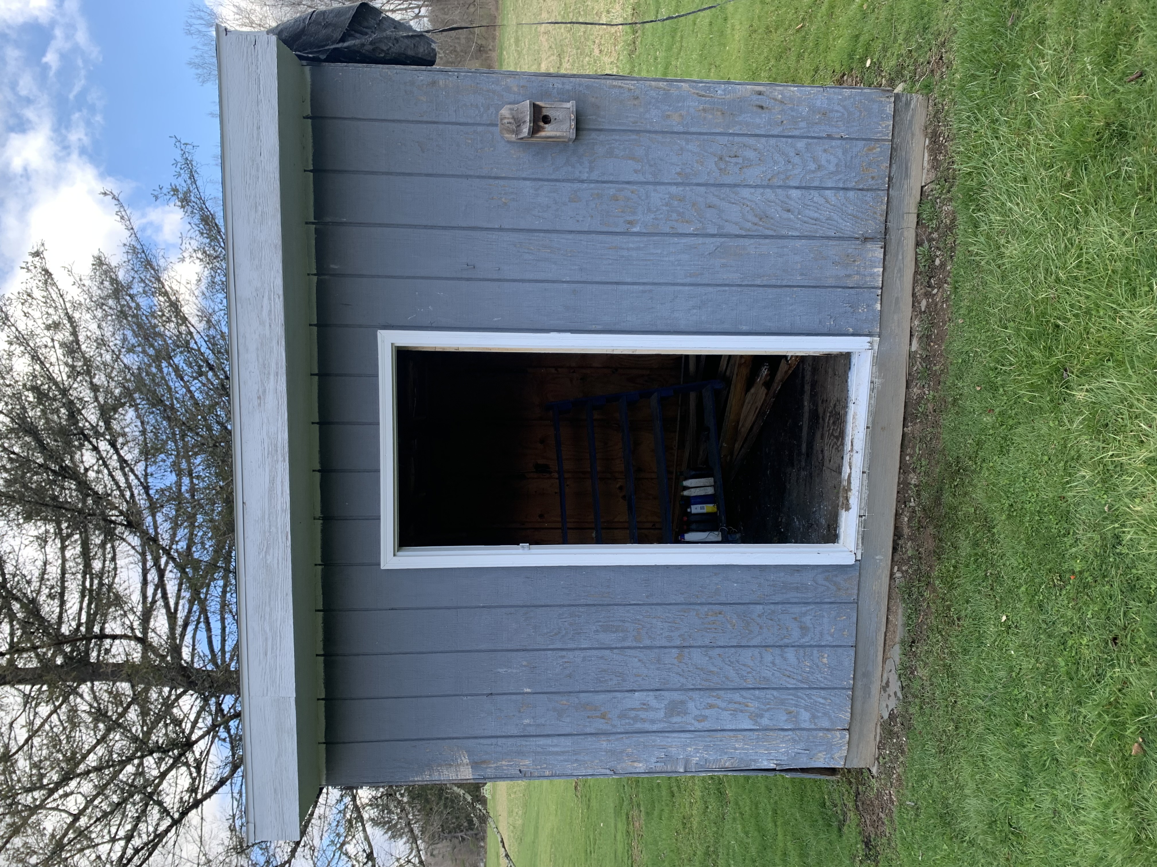 Before — Wood shed tear-down & haul