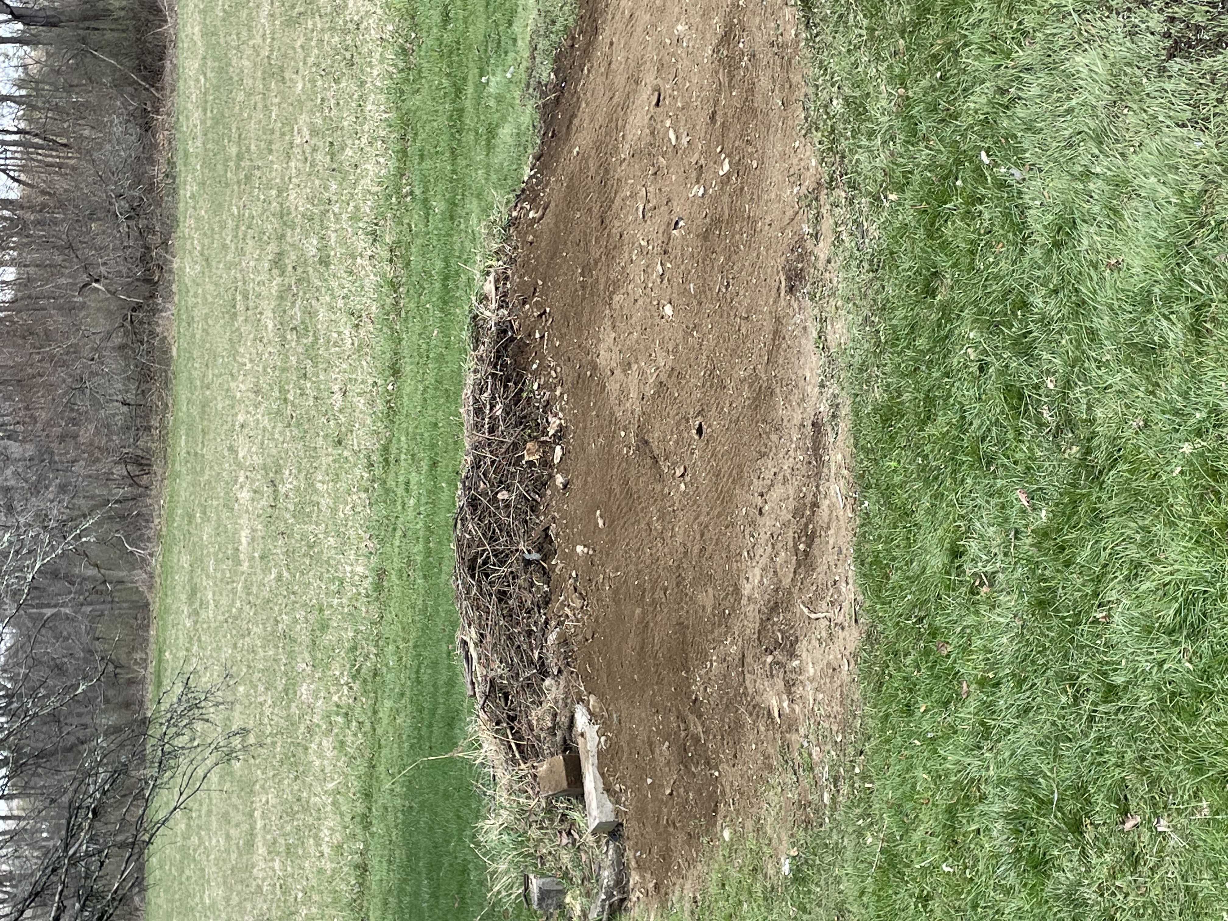 After — Wood shed tear-down & haul