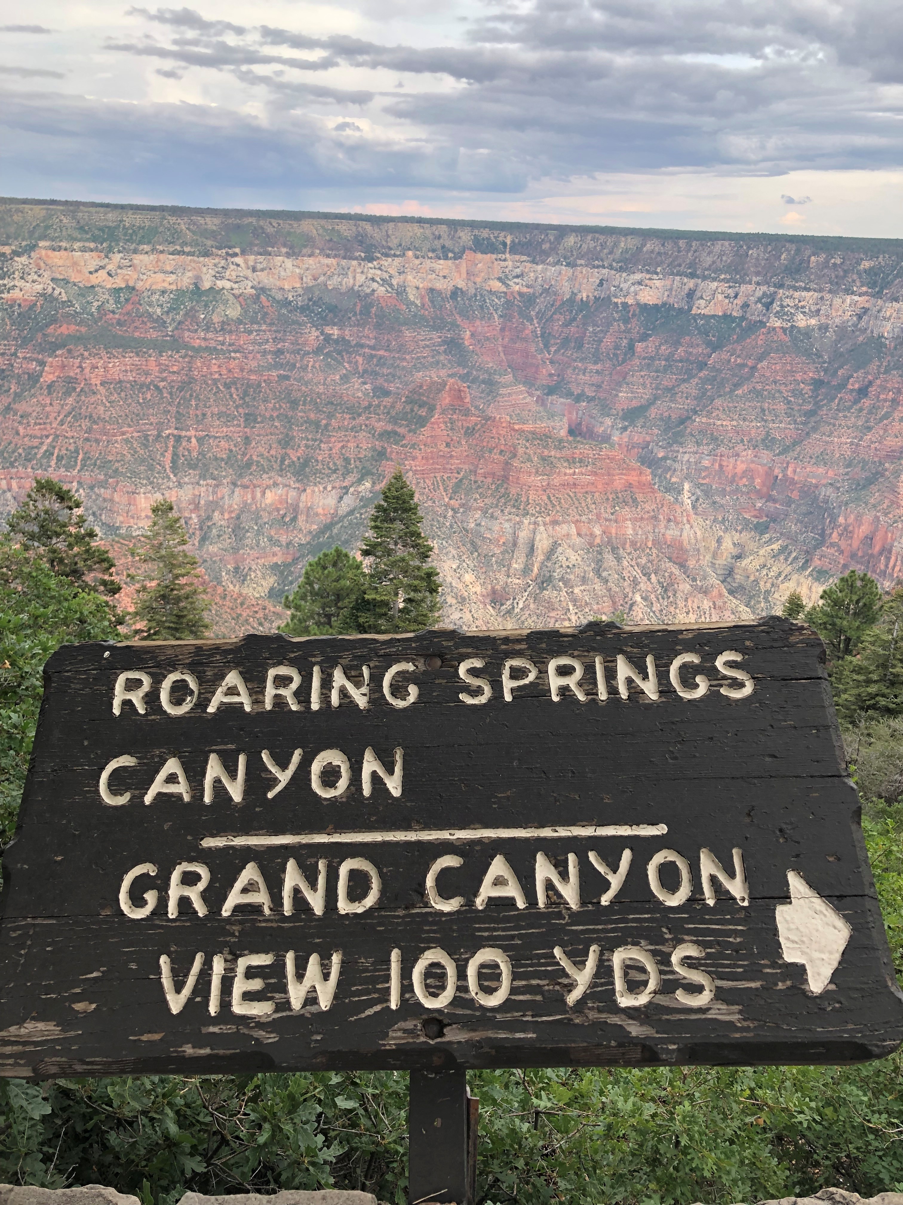 I thought I'd seen the Grand Canyon.