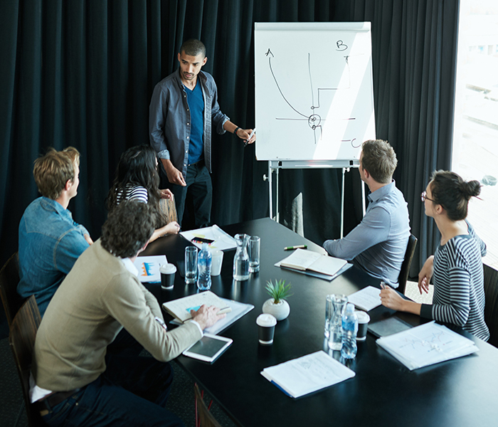 Professional Business Formation and Corporate Services