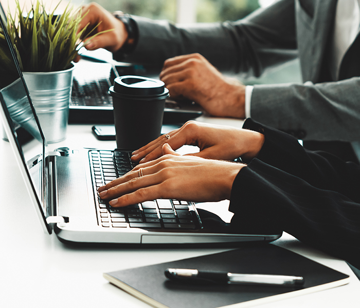 Professional Legal Team and Business Consultation Services