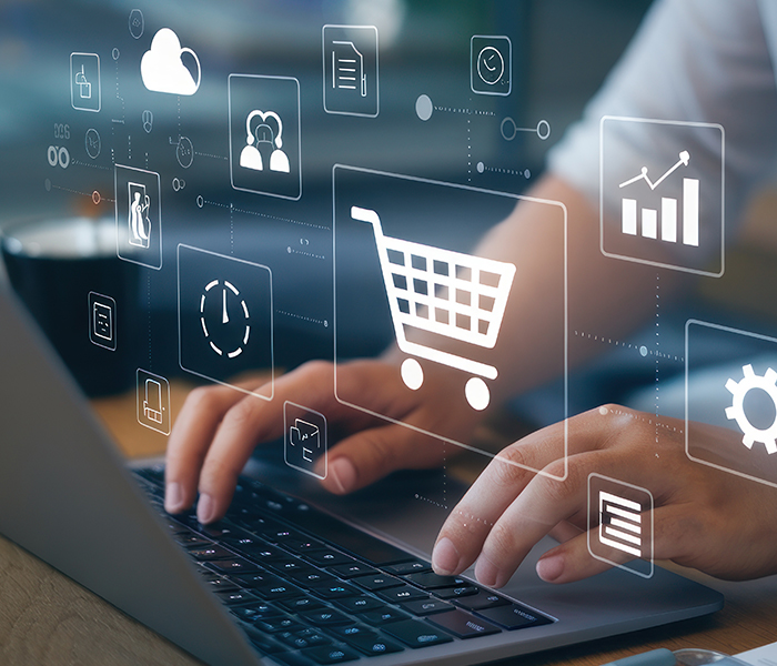 Professional Amazon Brand Registry and E-commerce Business Protection Services