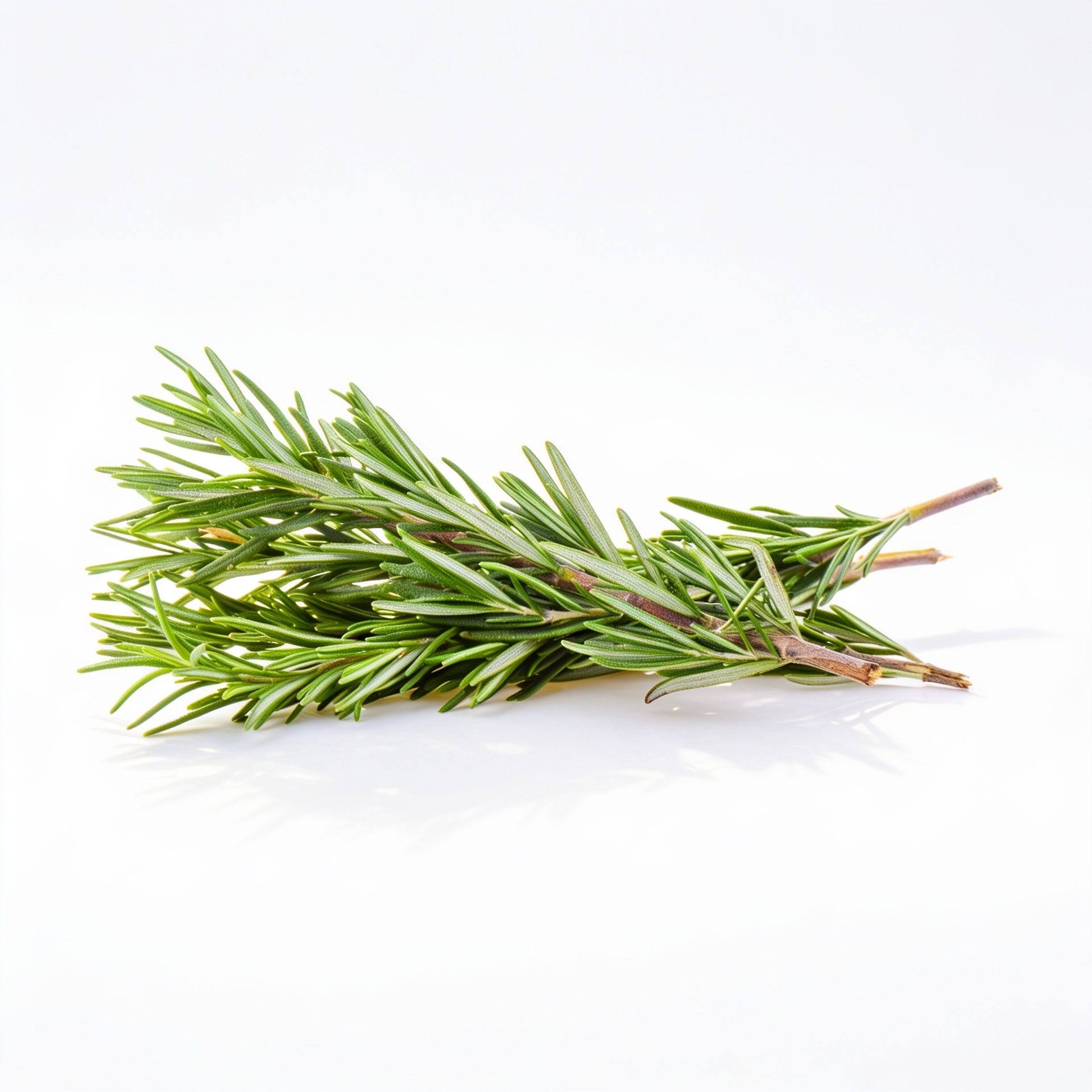 Rosemary