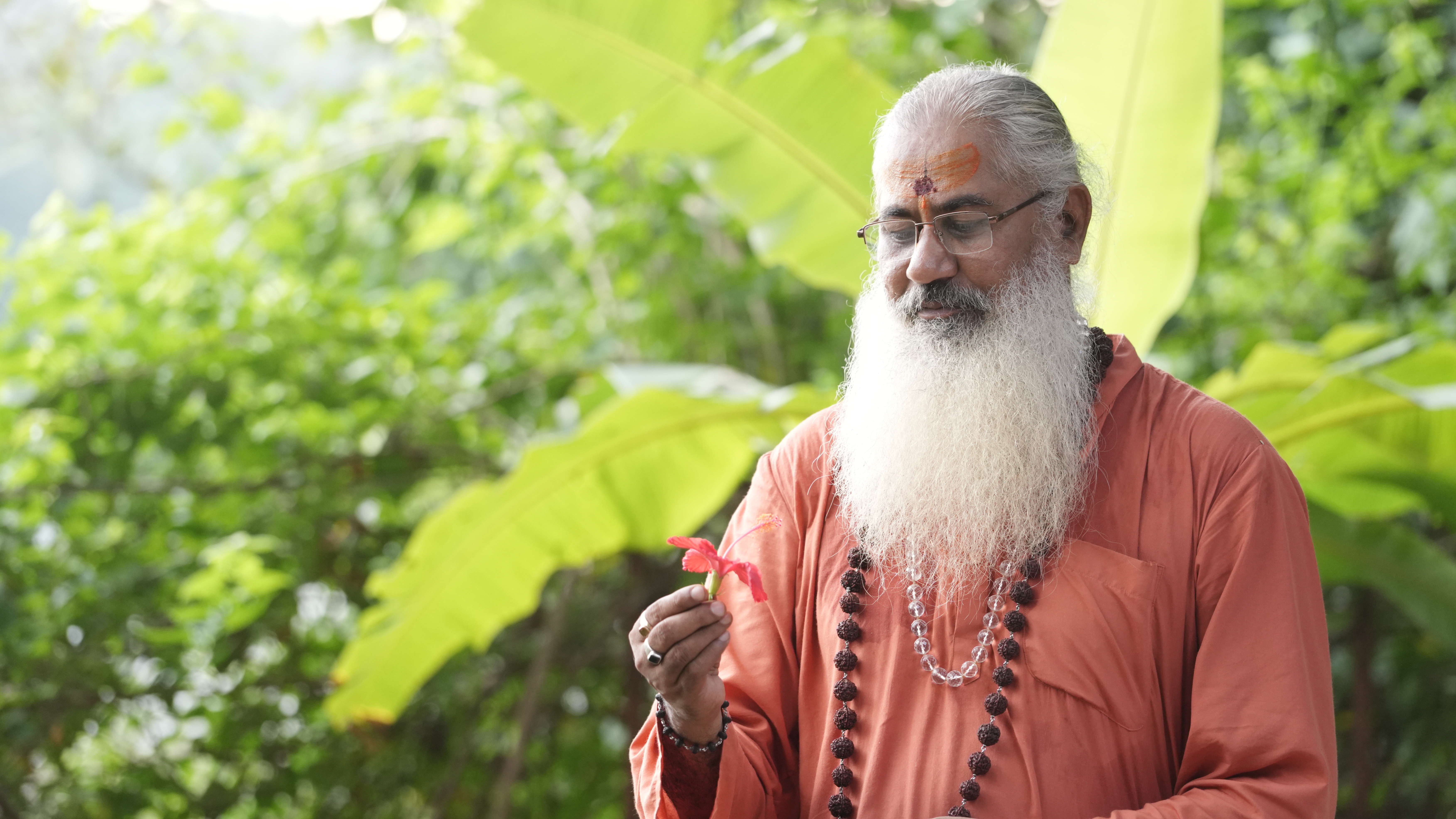 Swami Yo | Spiritual Guidance