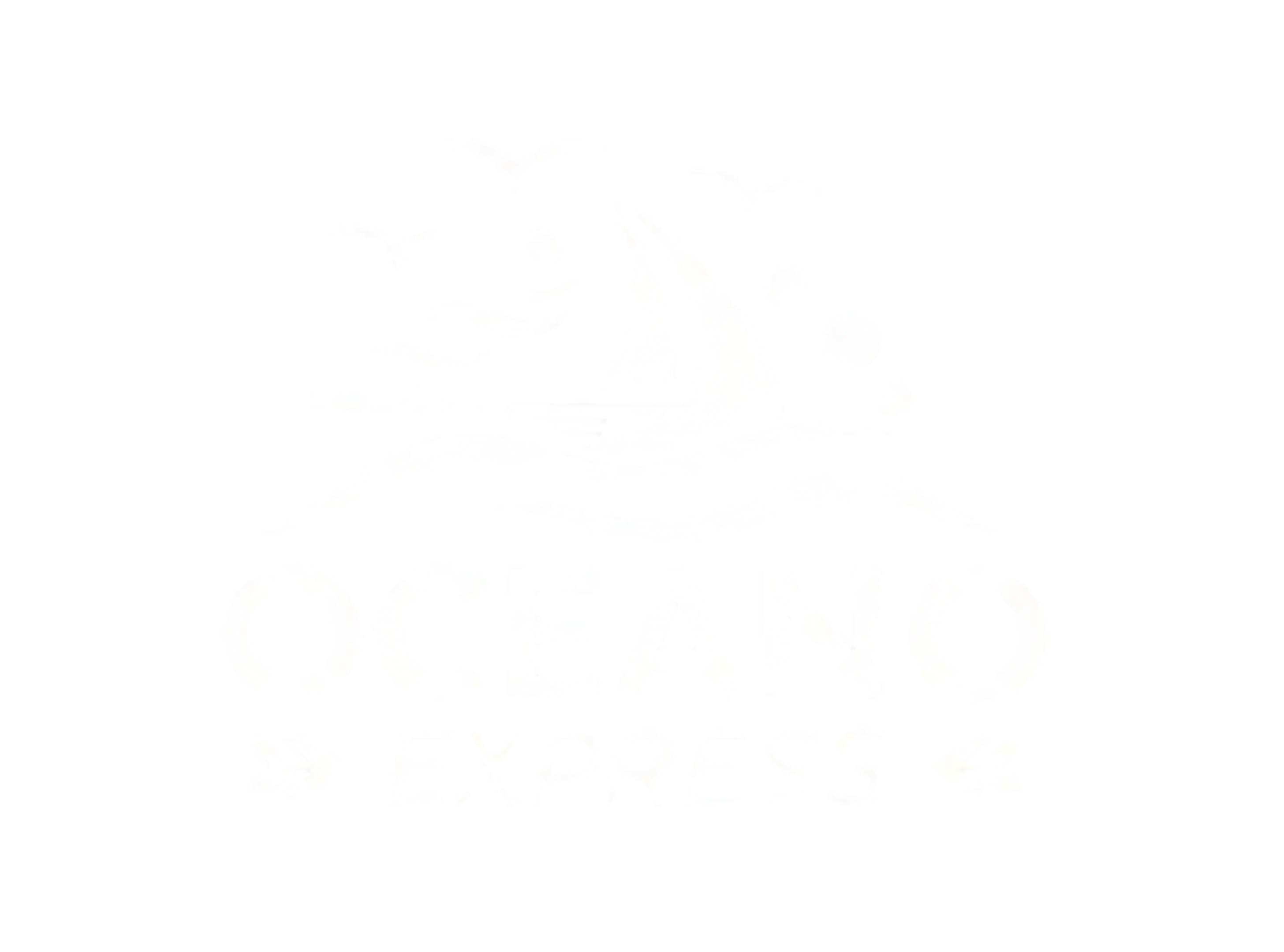 Oceano Express Logo