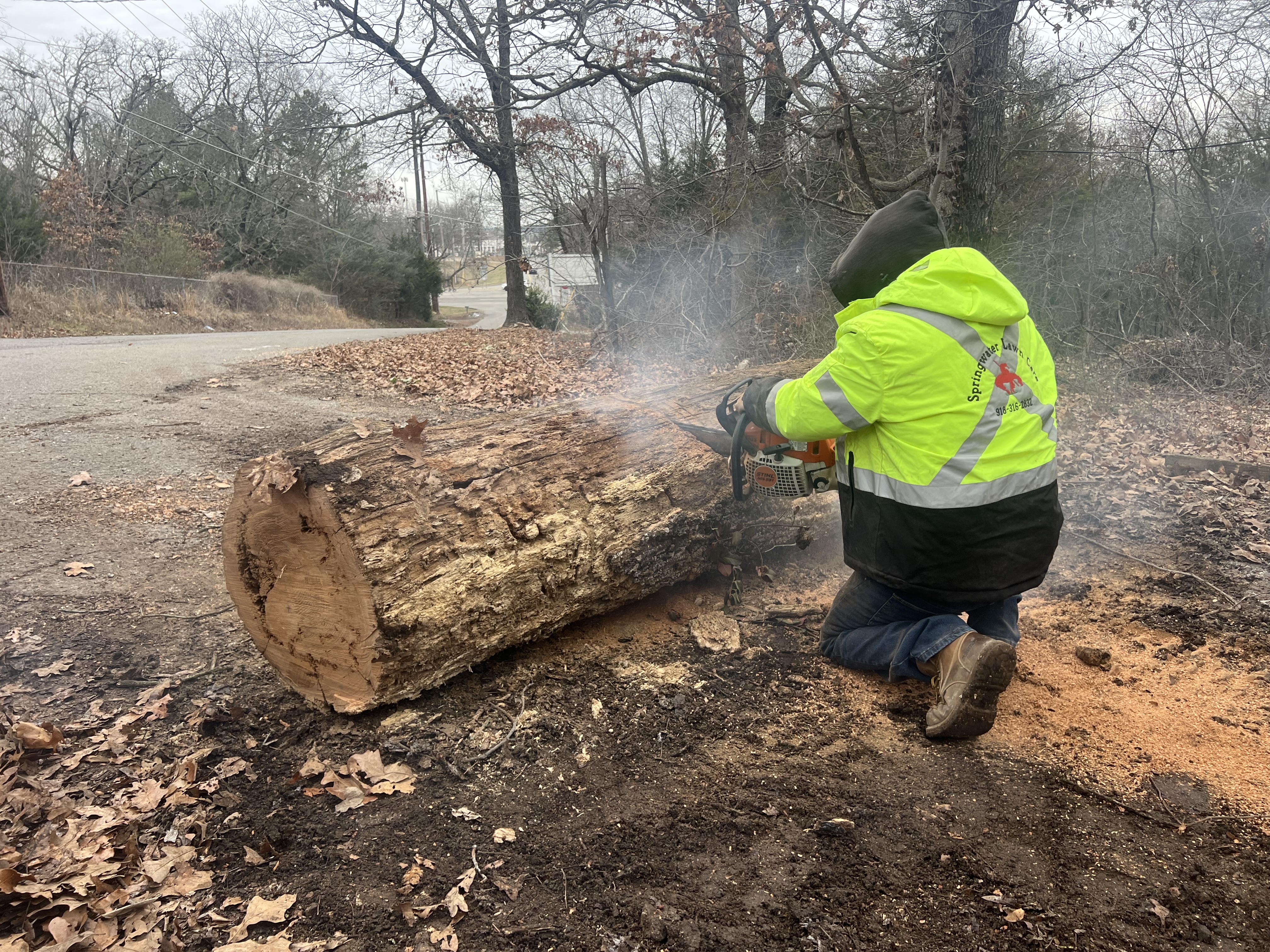 Tree trimming service near Tahlequah