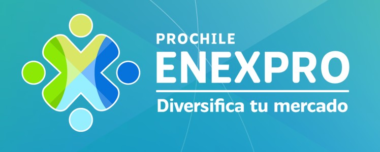 ENEXPRO - Diversifica tu mercado