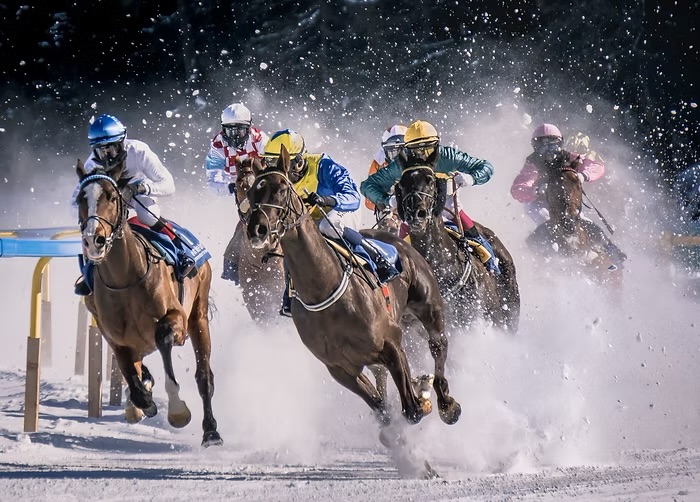 White Turf St. Moritz: Chauffeur-Transfers zu den Schneerennen