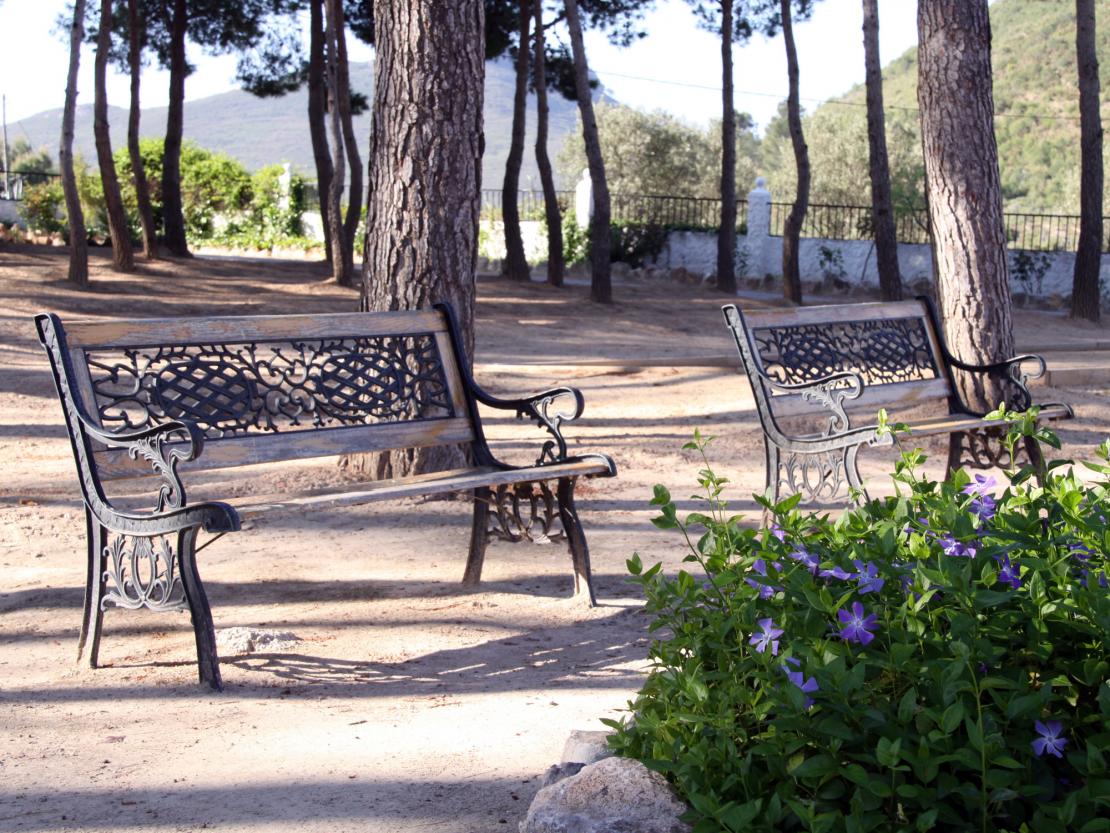 The gardens