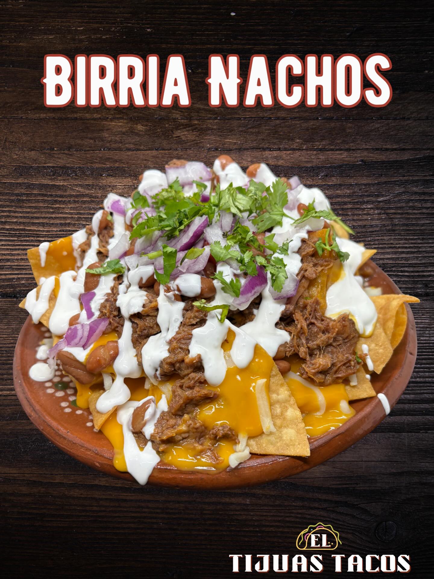 Birria Nachos