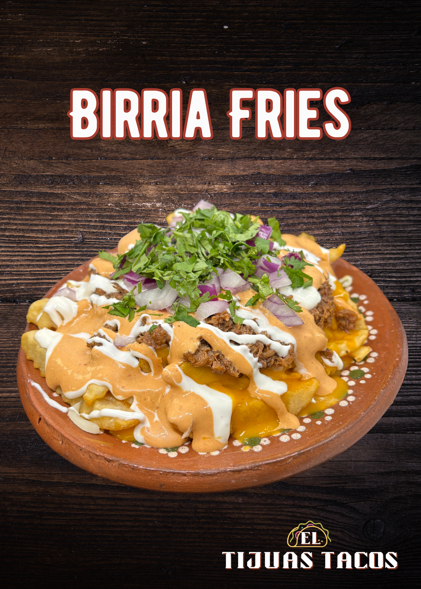 Birria Fries