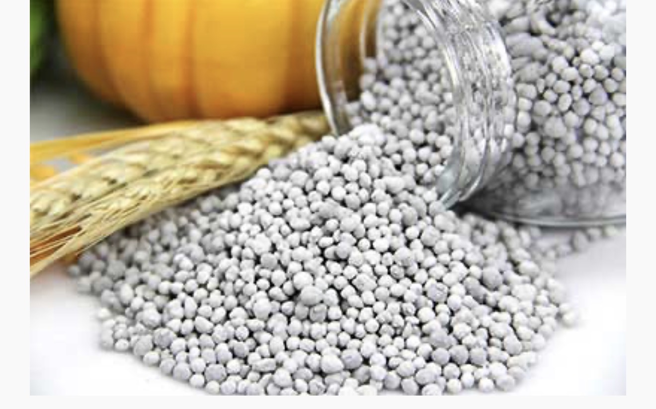 DAP (Di-Ammonium Phosphate)