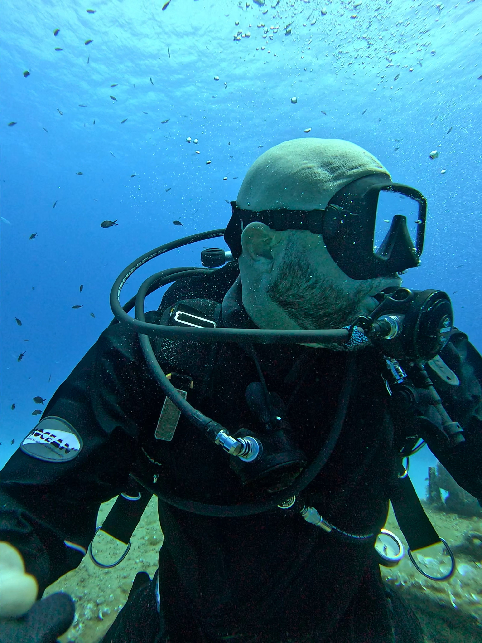 Robin Bull underwater