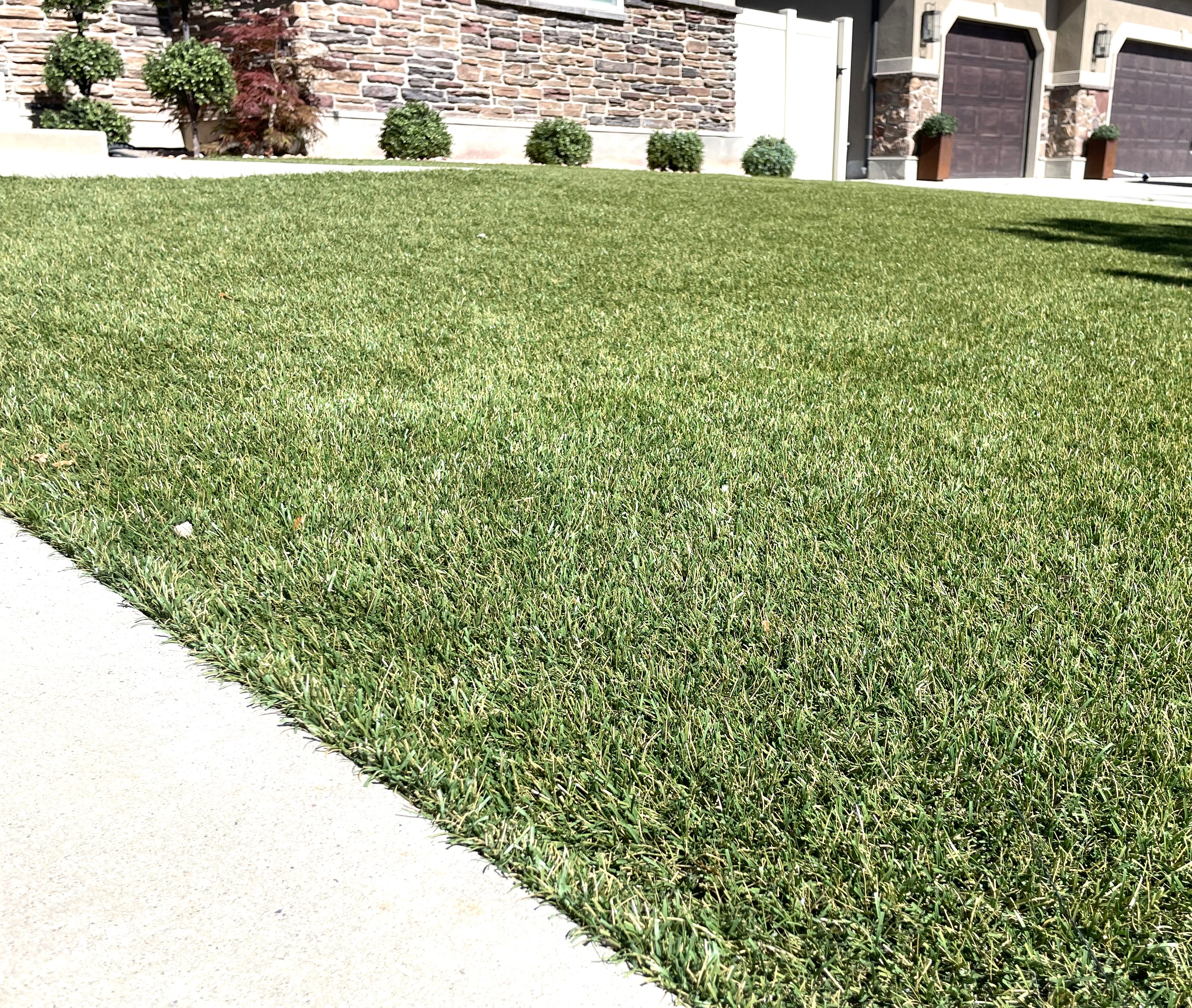 Luxury Front Yard — Draper