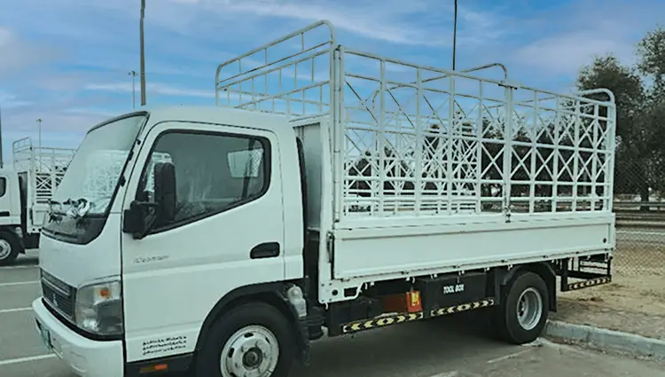 3 Ton Pickup — Cargo Body