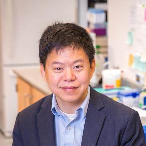 Peter Yingxiao Wang, PhD