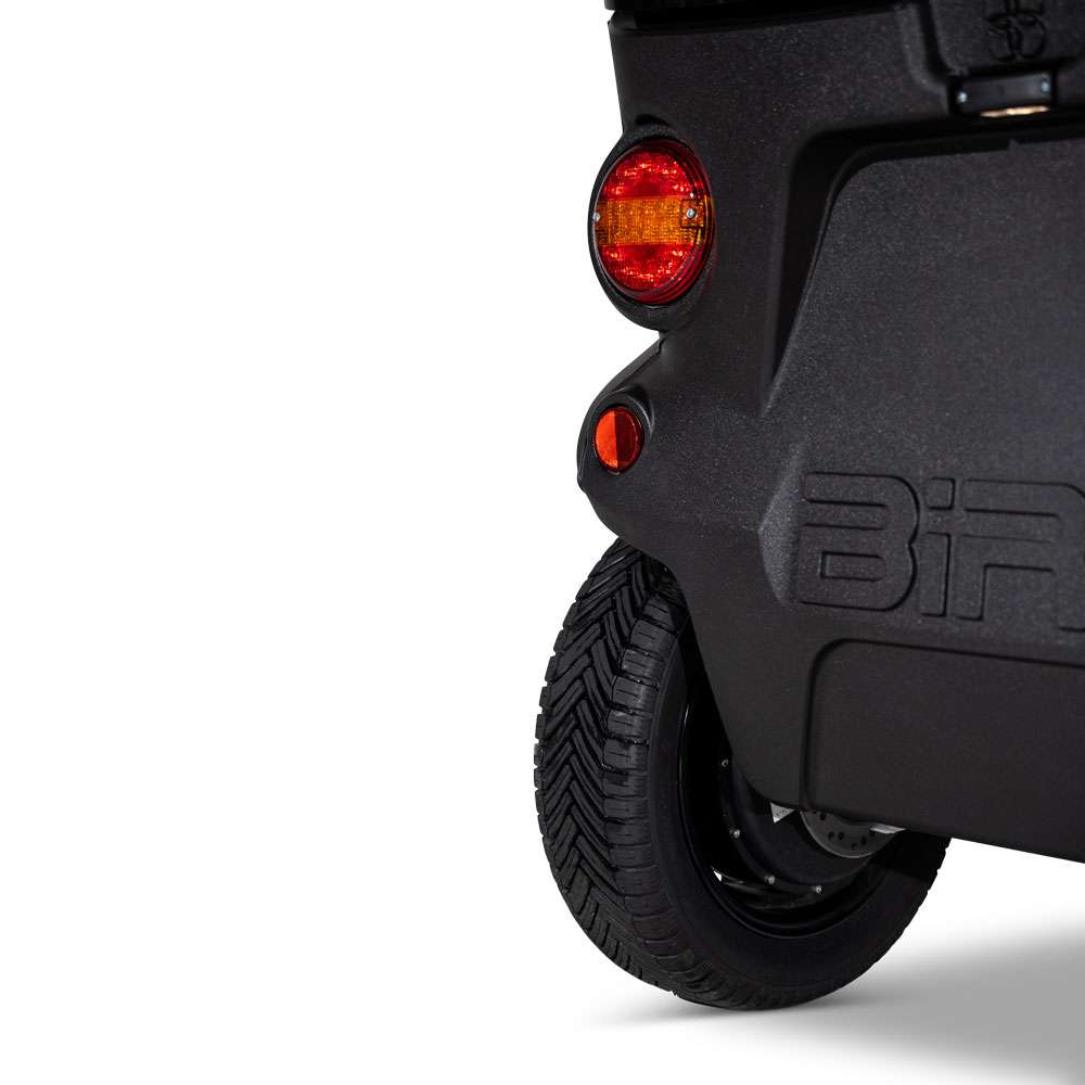 Birò bakljus detalj