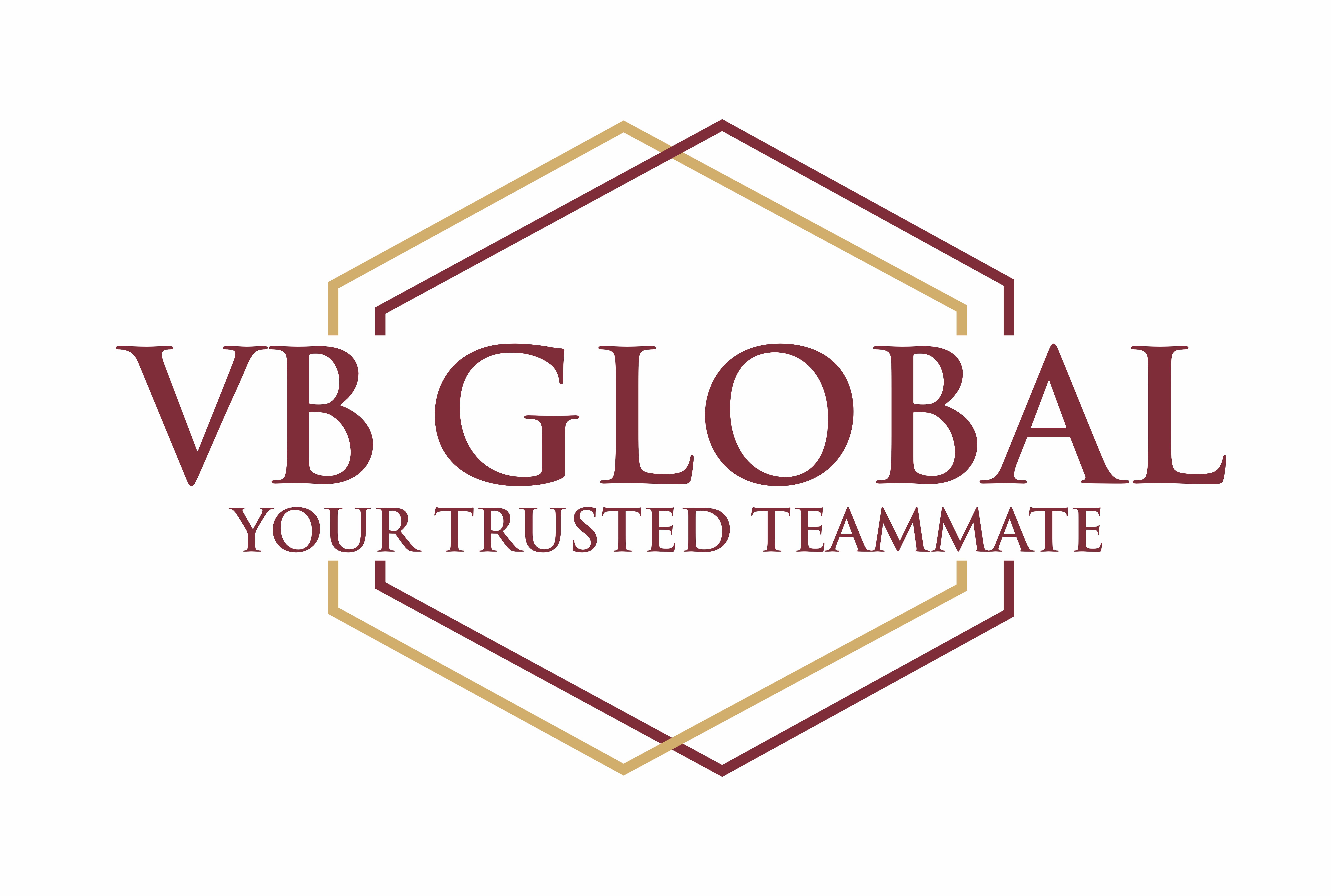VB Global Logo