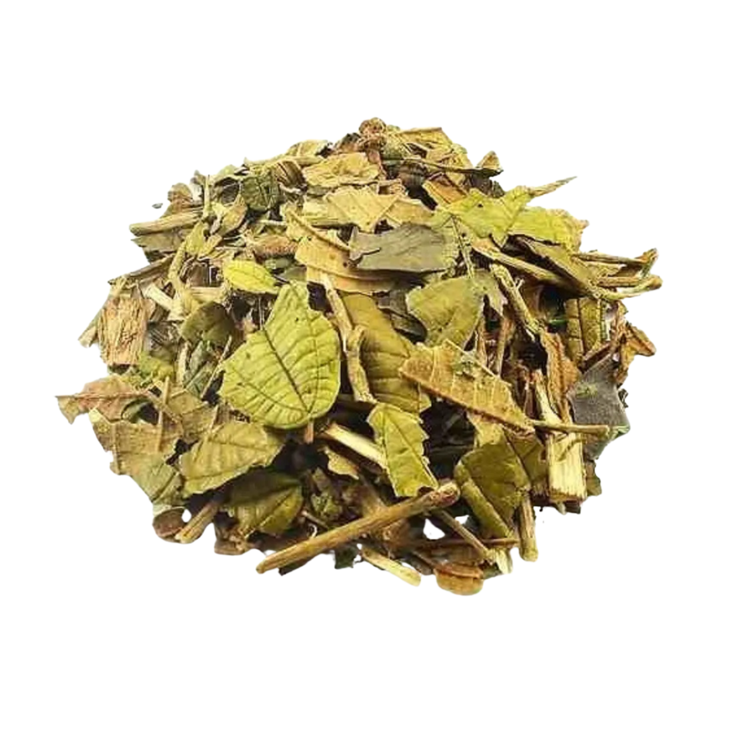 Canela de Velho