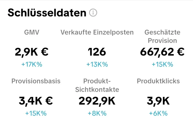 Schlüsseldaten · 2,9K € GMV · 667,62 € Provision · +17 %
