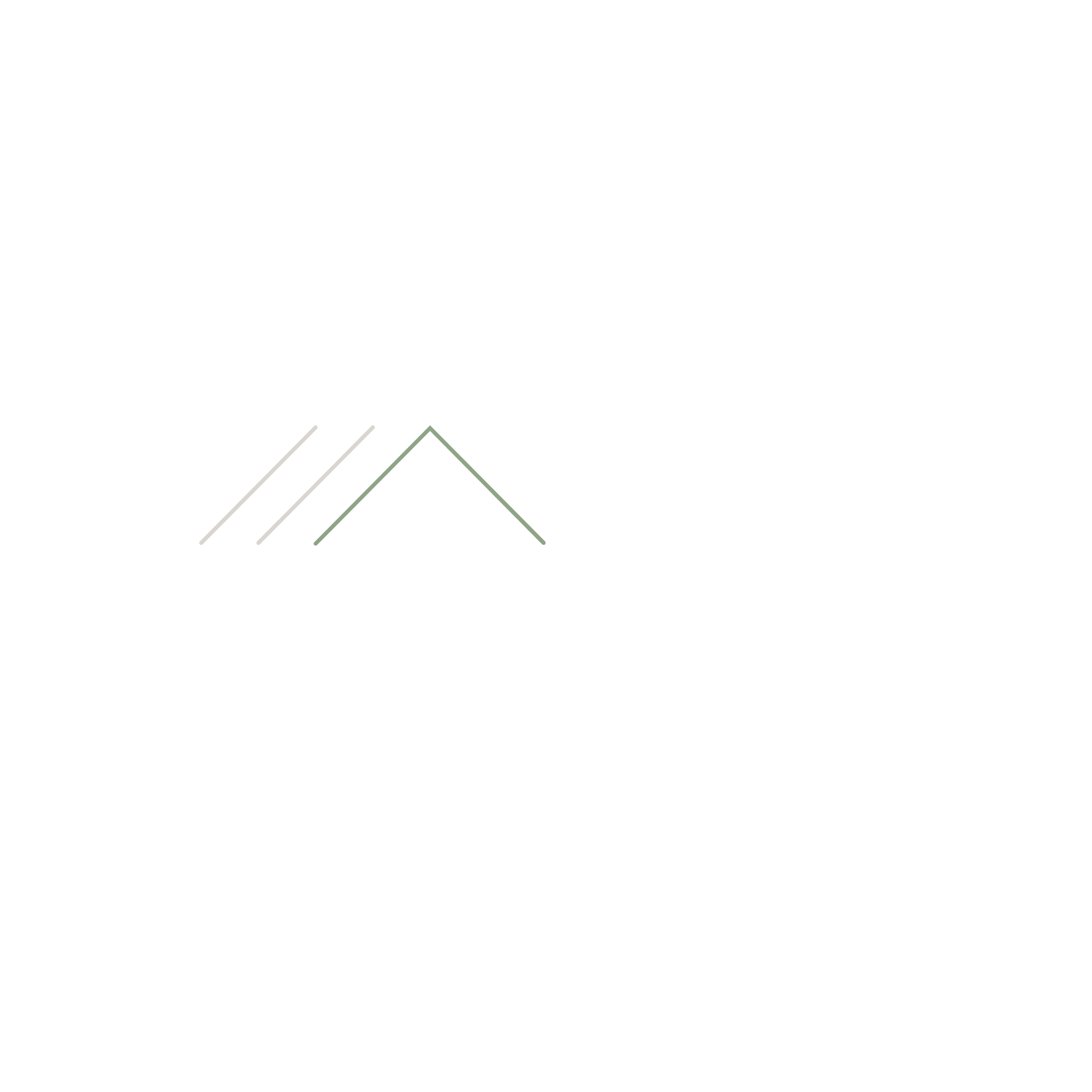 The Secret Seller