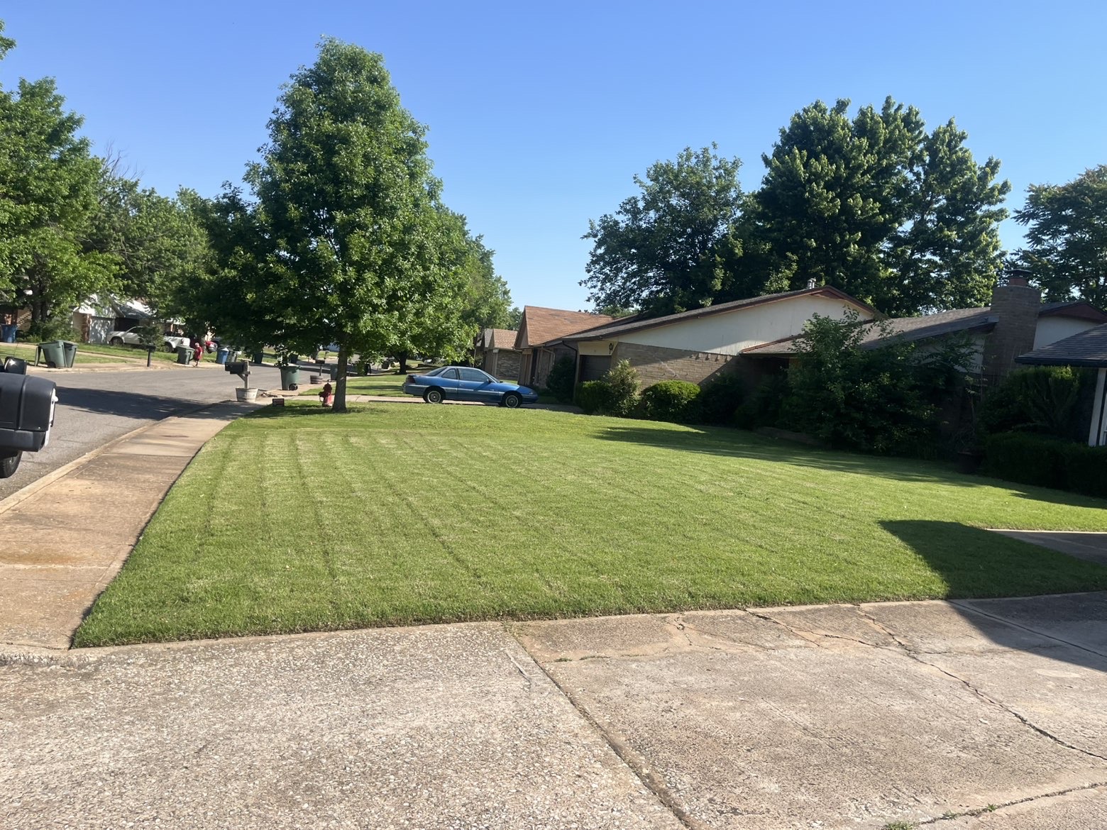 Walker Lawn Care work