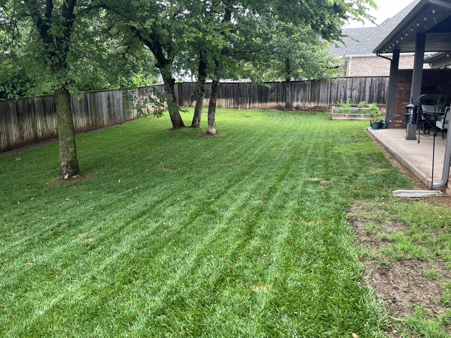 Lawn care project 3