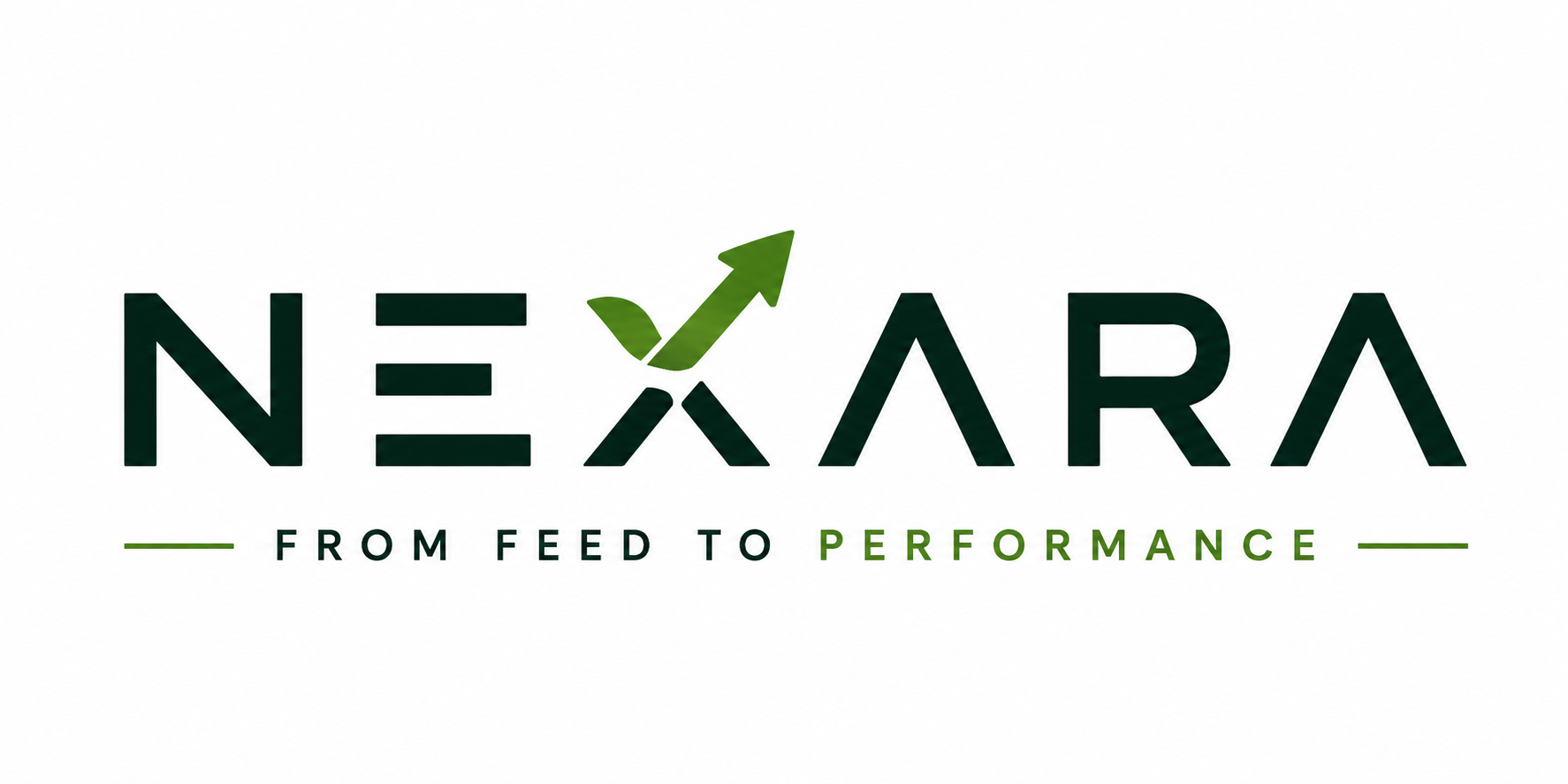 Nexara — From Feed to Performance