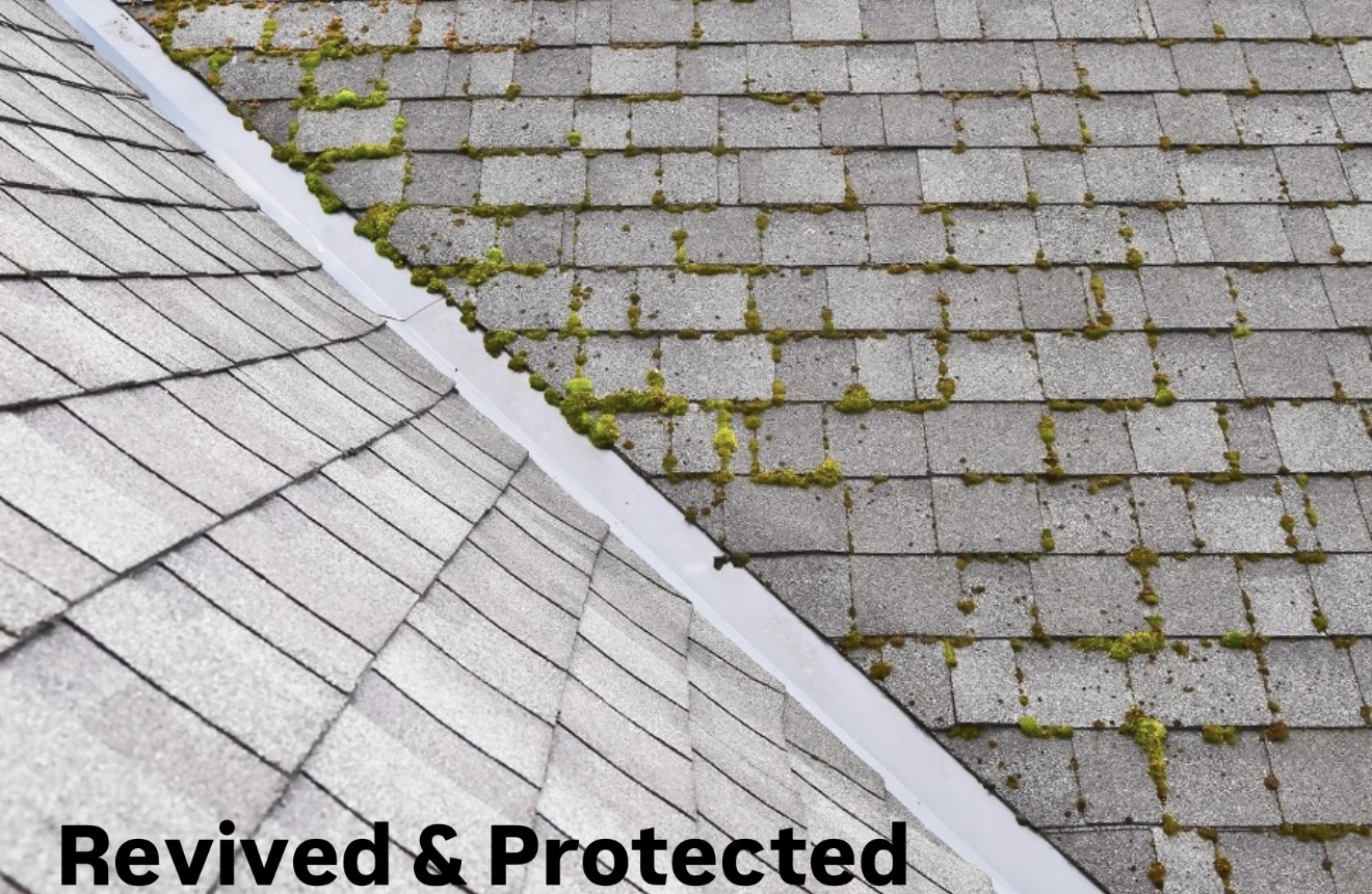 Roof Cleaning