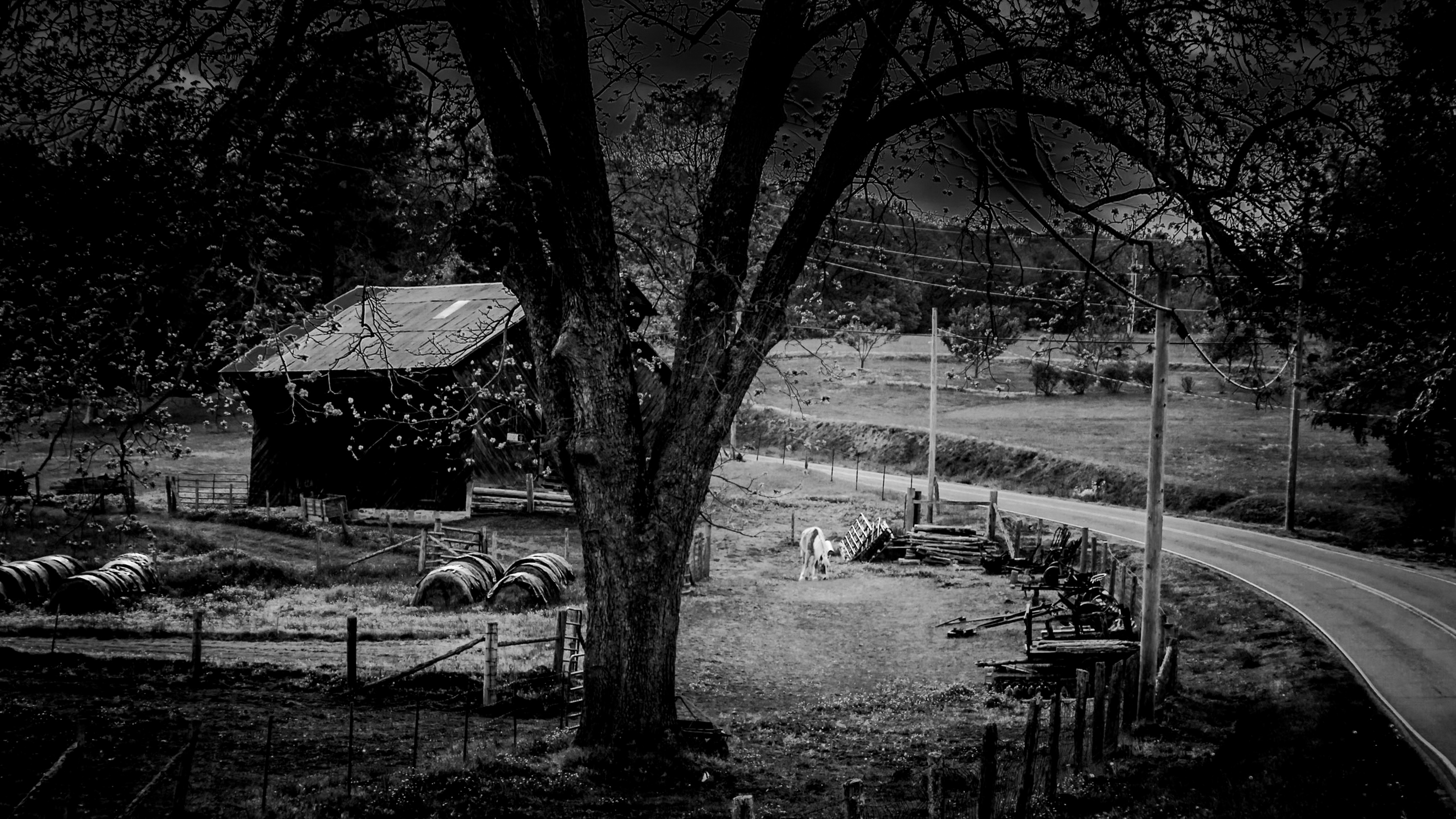 Black-and-white photograph of open rural fields, a distant tree line, and a wide sky